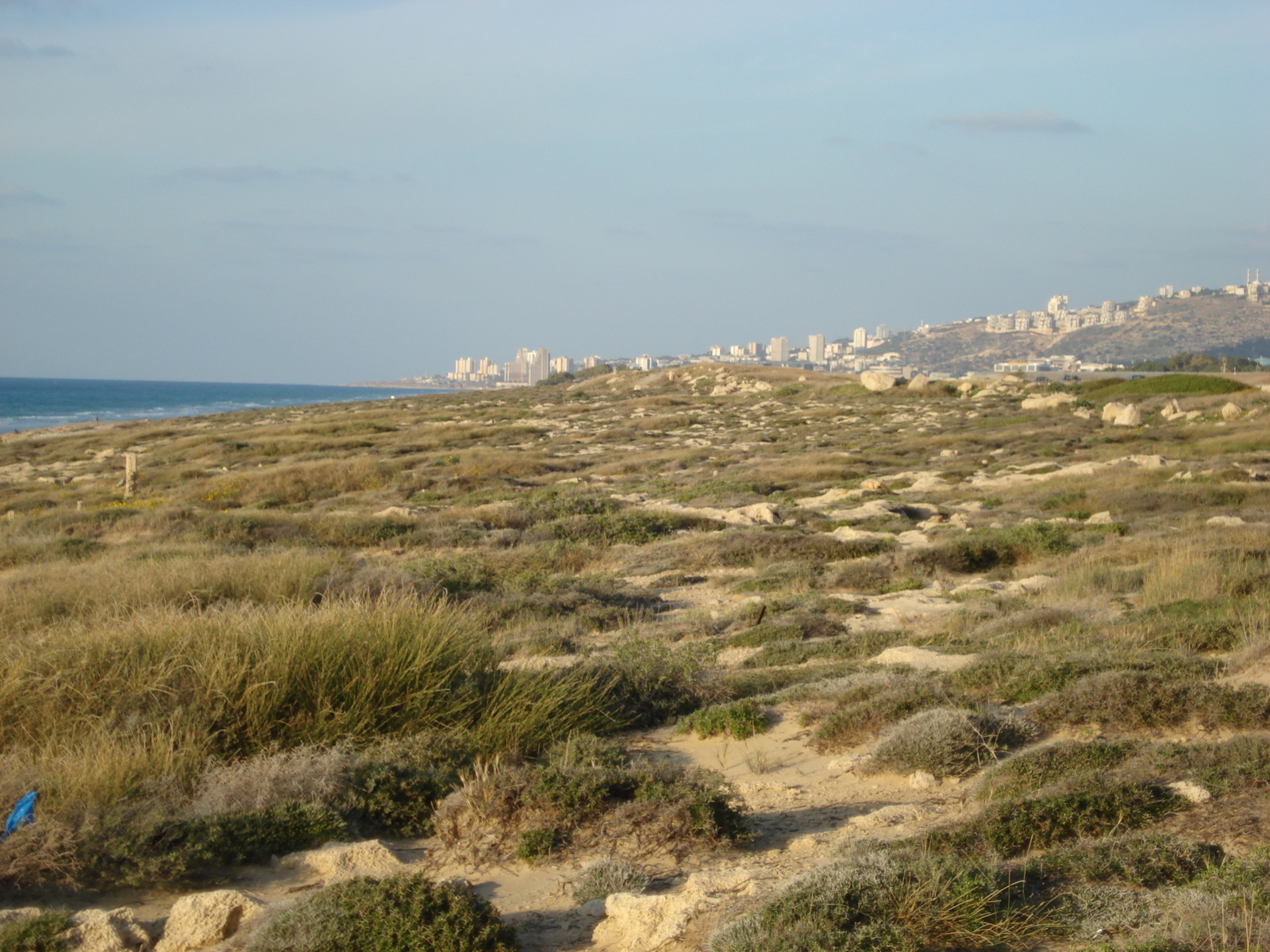 照片 以色列(Israel) 海法至特拉维夫(From Haifa to Tel Aviv) 2006-12 79