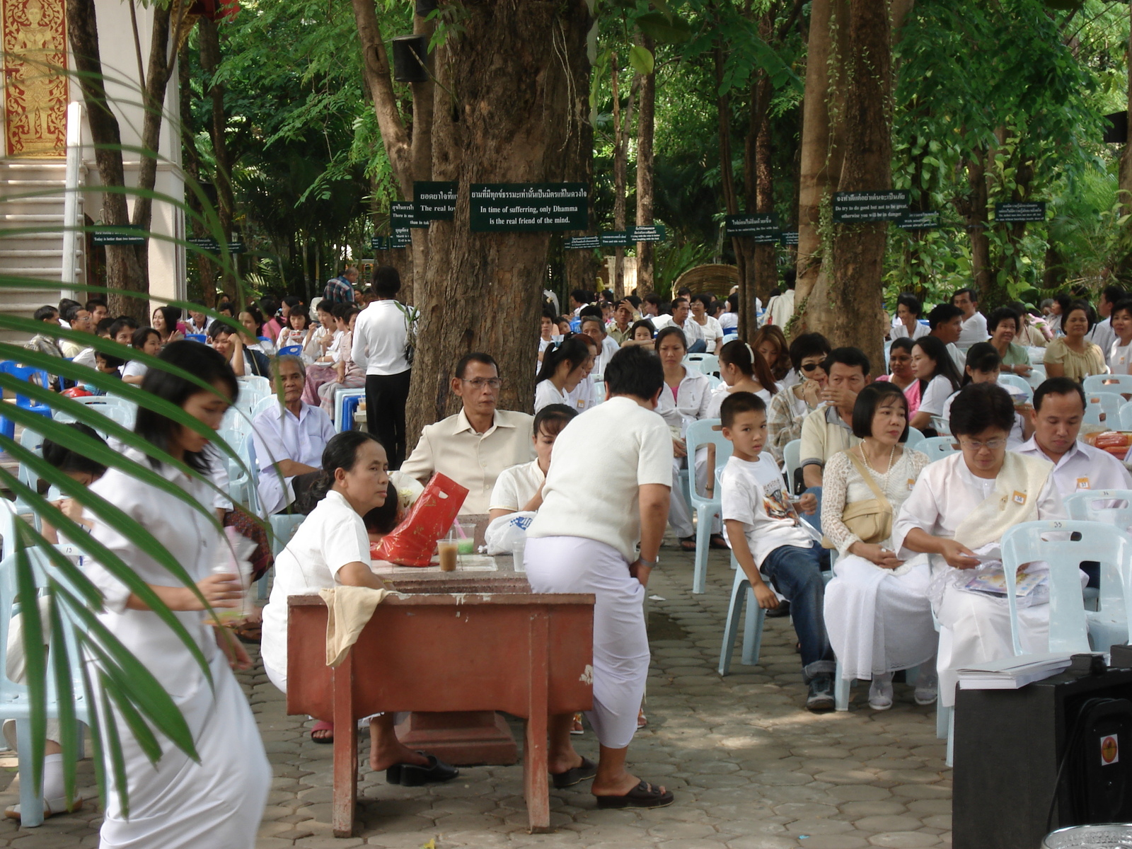 照片 泰国(Thailand) 清迈(Chiang Mai) 护城河内(Inside Canal) 帕辛寺(Wat Phra Sing temple) 2006-04 5