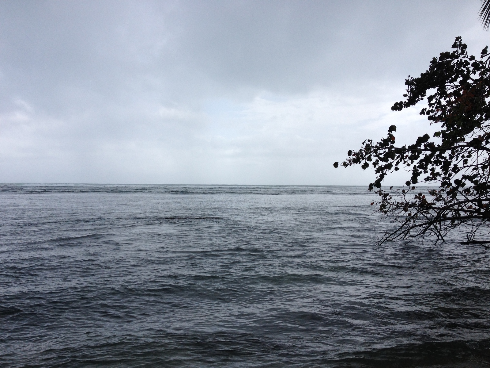 照片 哥斯达黎加(Costa Rica) 卡维塔(Cahuita) 2015-03 26
