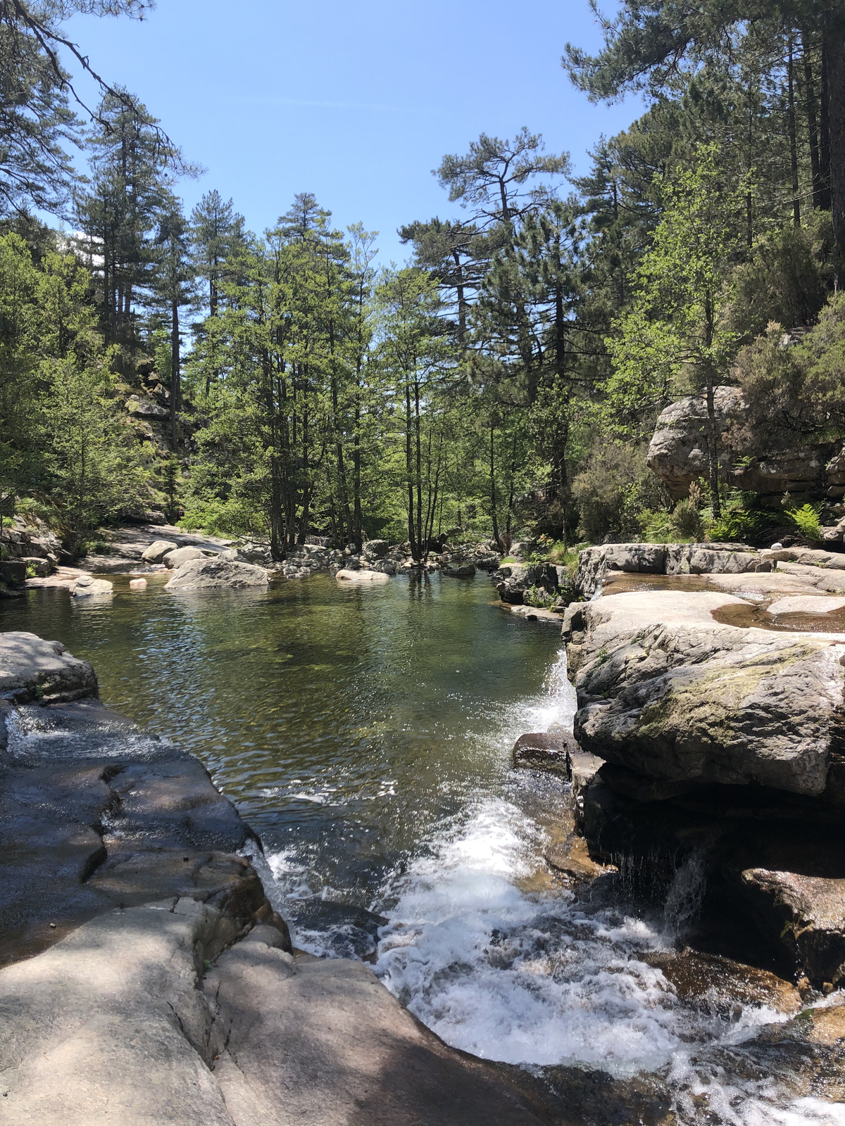 照片 法国(France) 科西嘉岛(Corsica) 艾托内森林(Aitone Forest) 2021-06 35