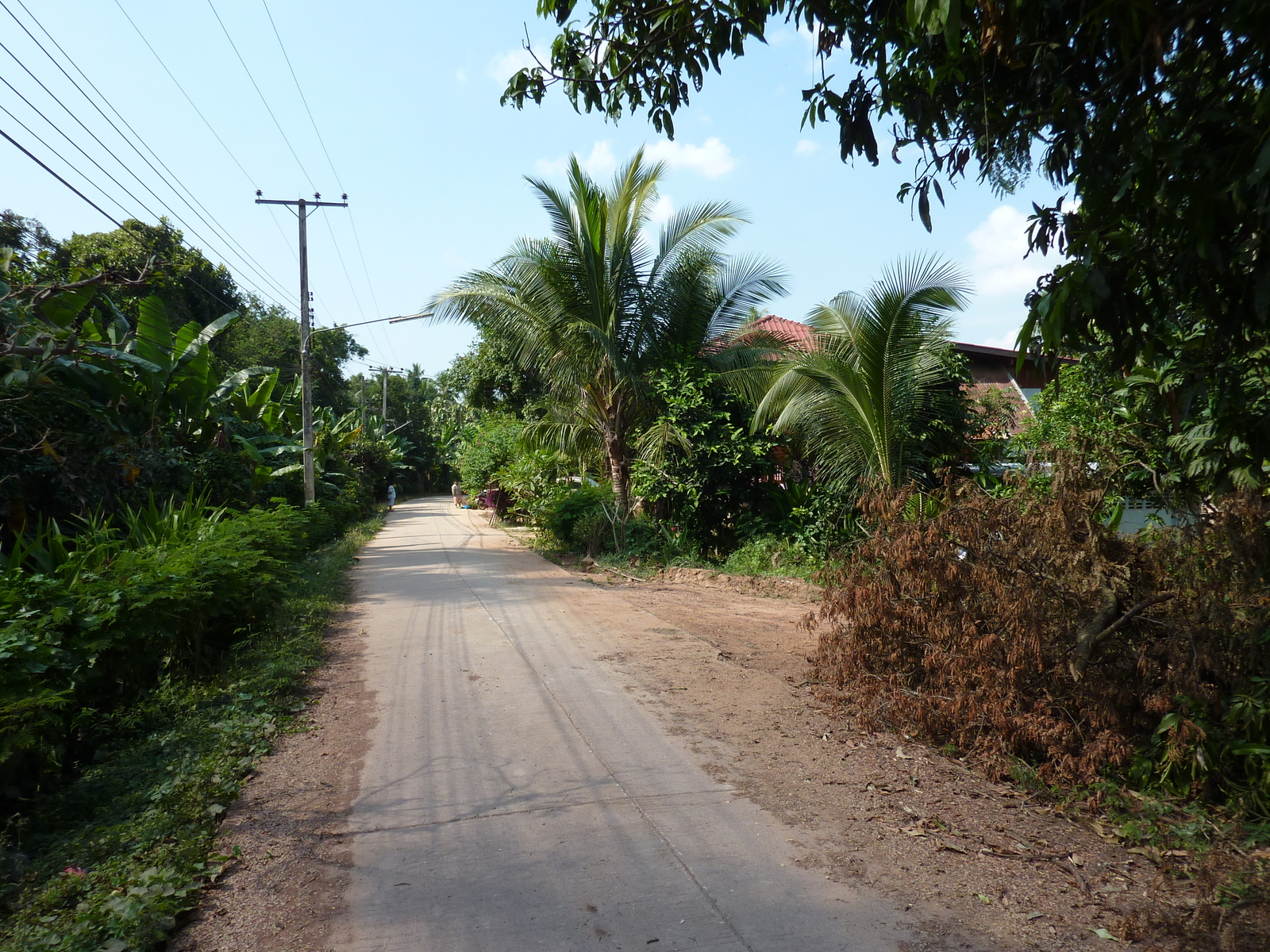 照片 泰国(Thailand) 彭世洛(Phitsanulok) 宗通(Chom Thong) 2009-12 4