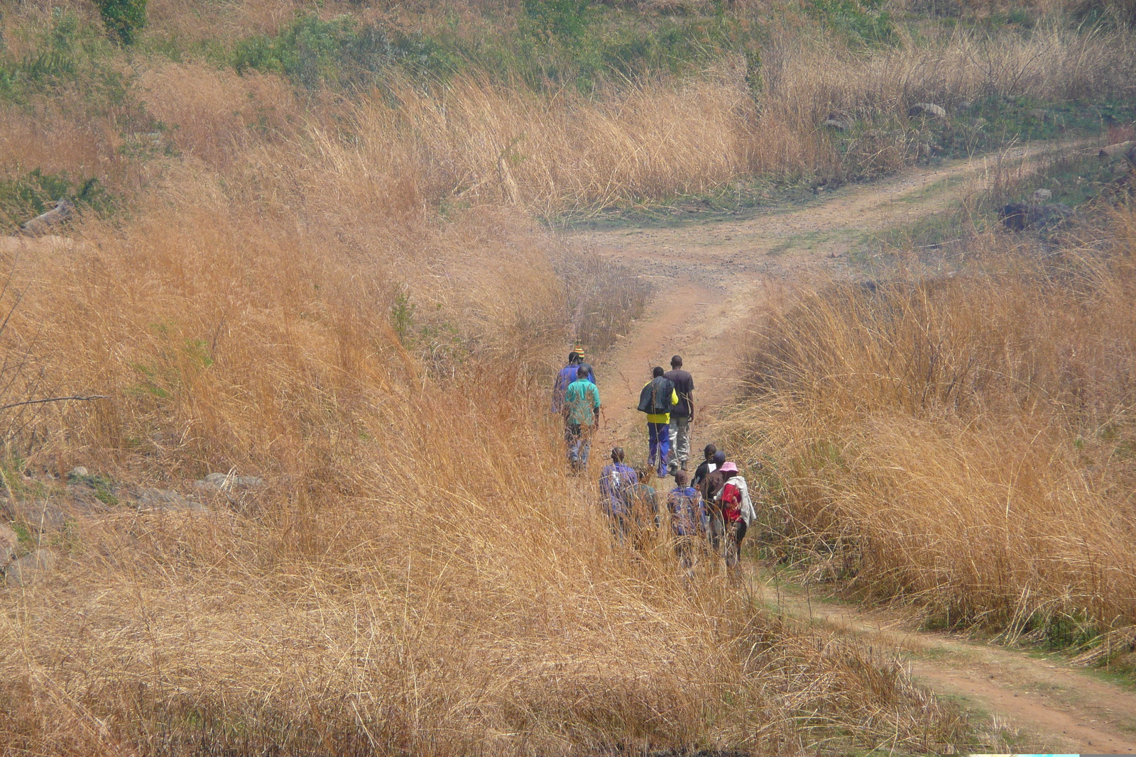 照片 南非(South Africa) 内尔斯普雷特至约翰内斯堡公路(Nelspruit to Johannesburg road) 2008-09 177