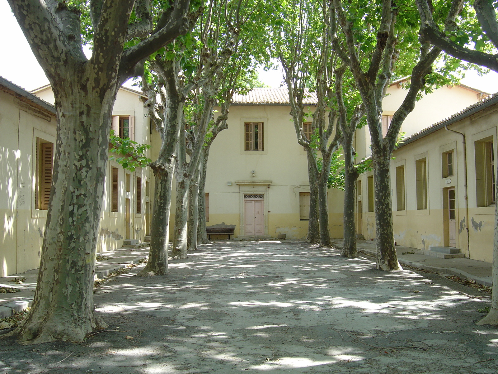 照片 法国(France) 吕内勒(Lunel) 2004-08 3