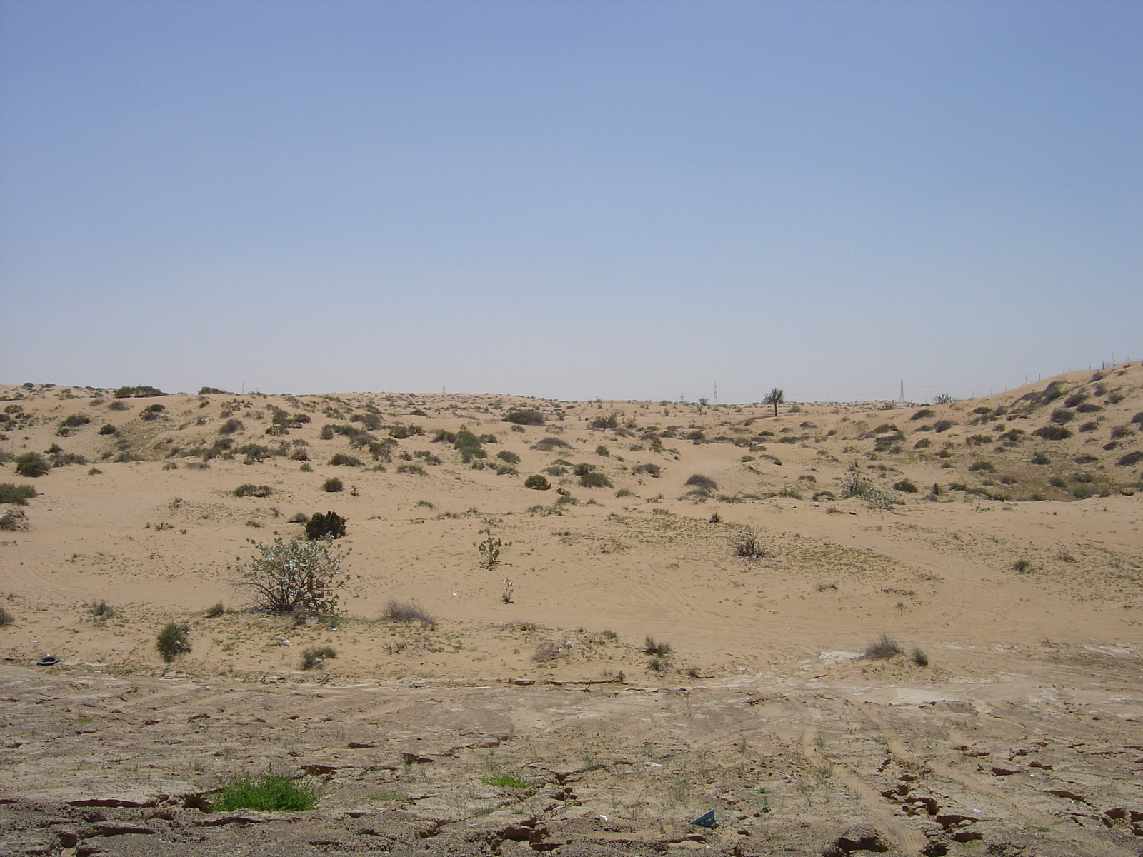 照片 阿联酋(United Arab Emirates) 阿治曼附近公路(Road near Ajman) 2005-03 3