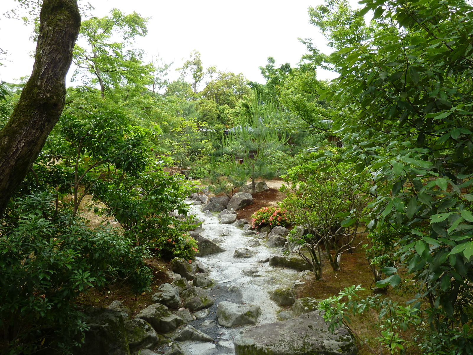 照片 日本(Japan) 京都(Kyoto) 金阁寺(Kinkakuji Temple(Golden Pavilion)) 2010-06 49