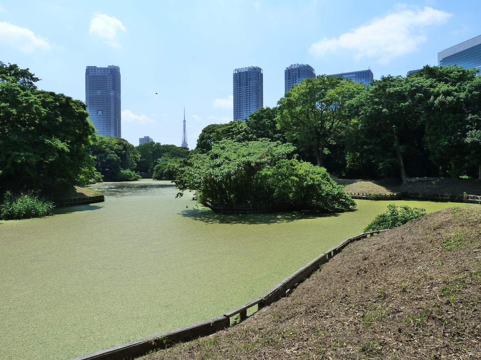 照片 日本(Japan) 东京(Tokyo) 滨离宫恩赐庭园(Hama rikyu Gardens) 2010-06 2