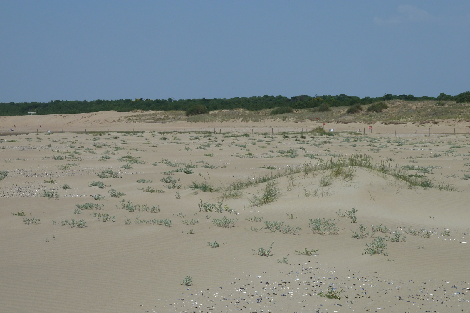 照片 法国(France) 圣布雷万(St Brevin) 2011-05 67
