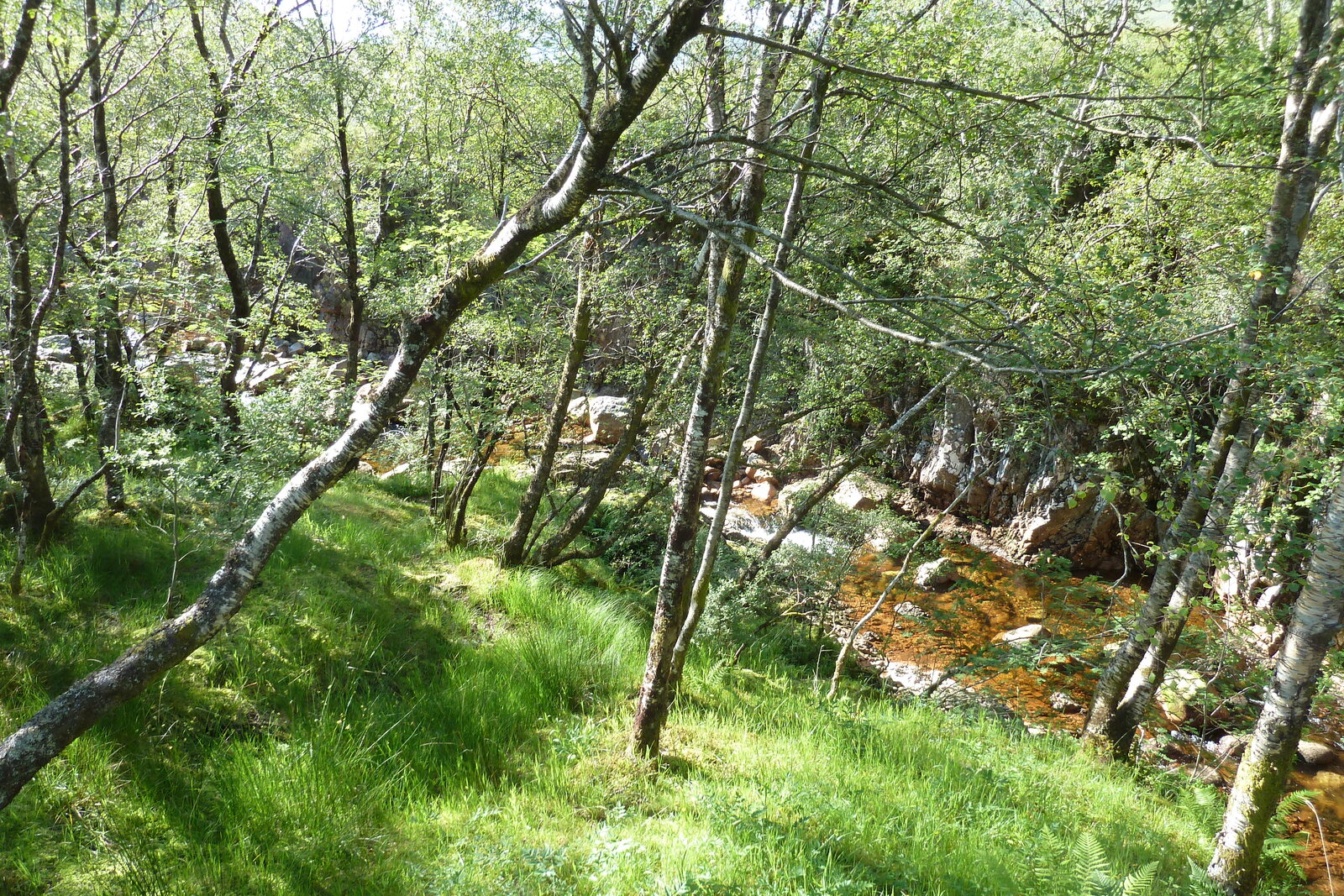 照片 英国(United Kingdom) 格伦科(Glen Coe) 2011-07 2