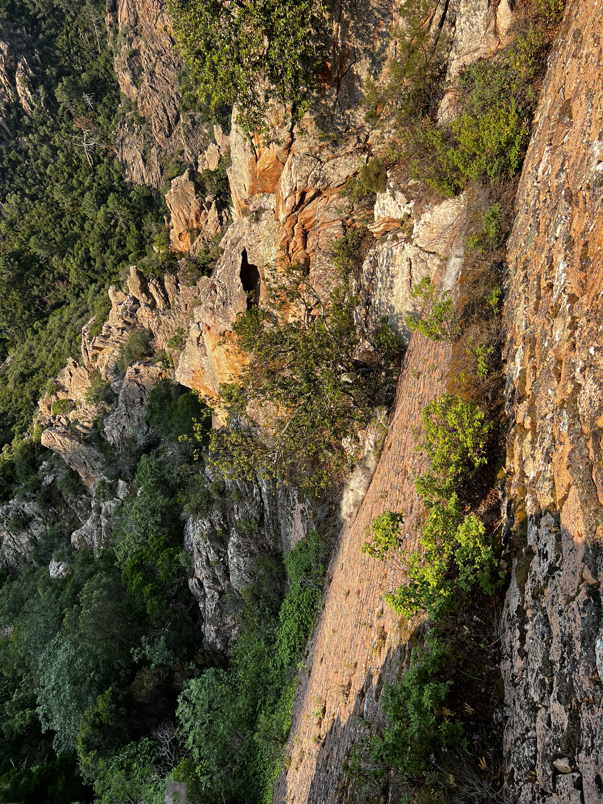 照片 法国(France) 科西嘉岛(Corsica) 皮亚纳峡湾(Calanques de Piana) 2023-06 24