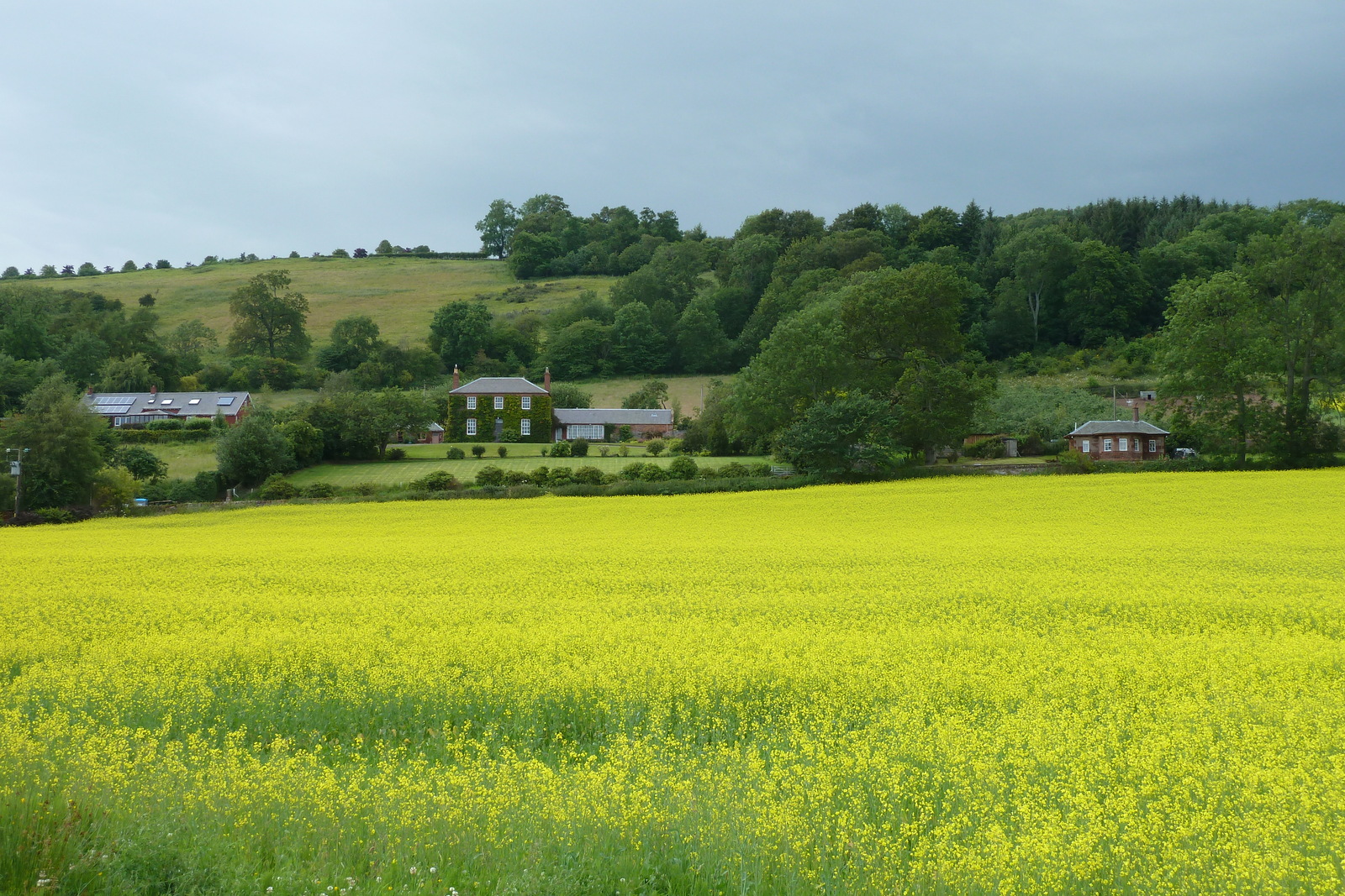 照片 英国(United Kingdom) 苏格兰(Scotland) 布里金(Brechin) 2011-07 4