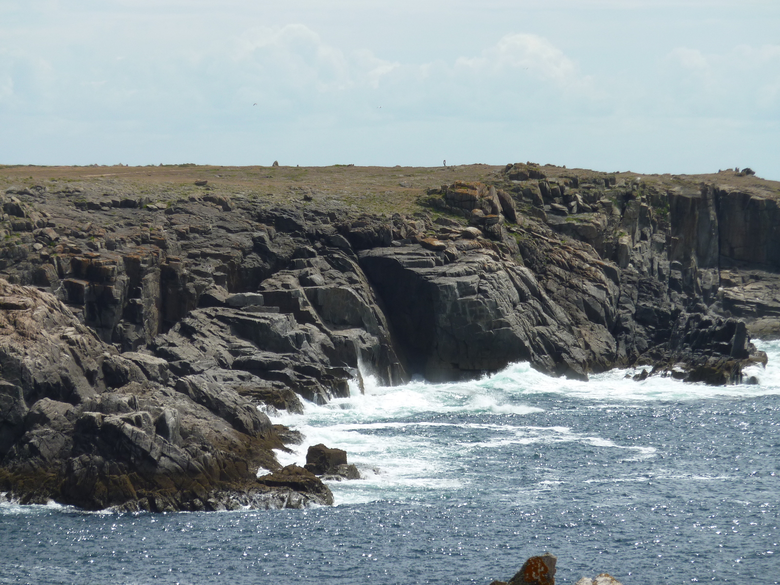 照片 法国(France) 伊厄岛(Ile d'yeu) 2009-07 68