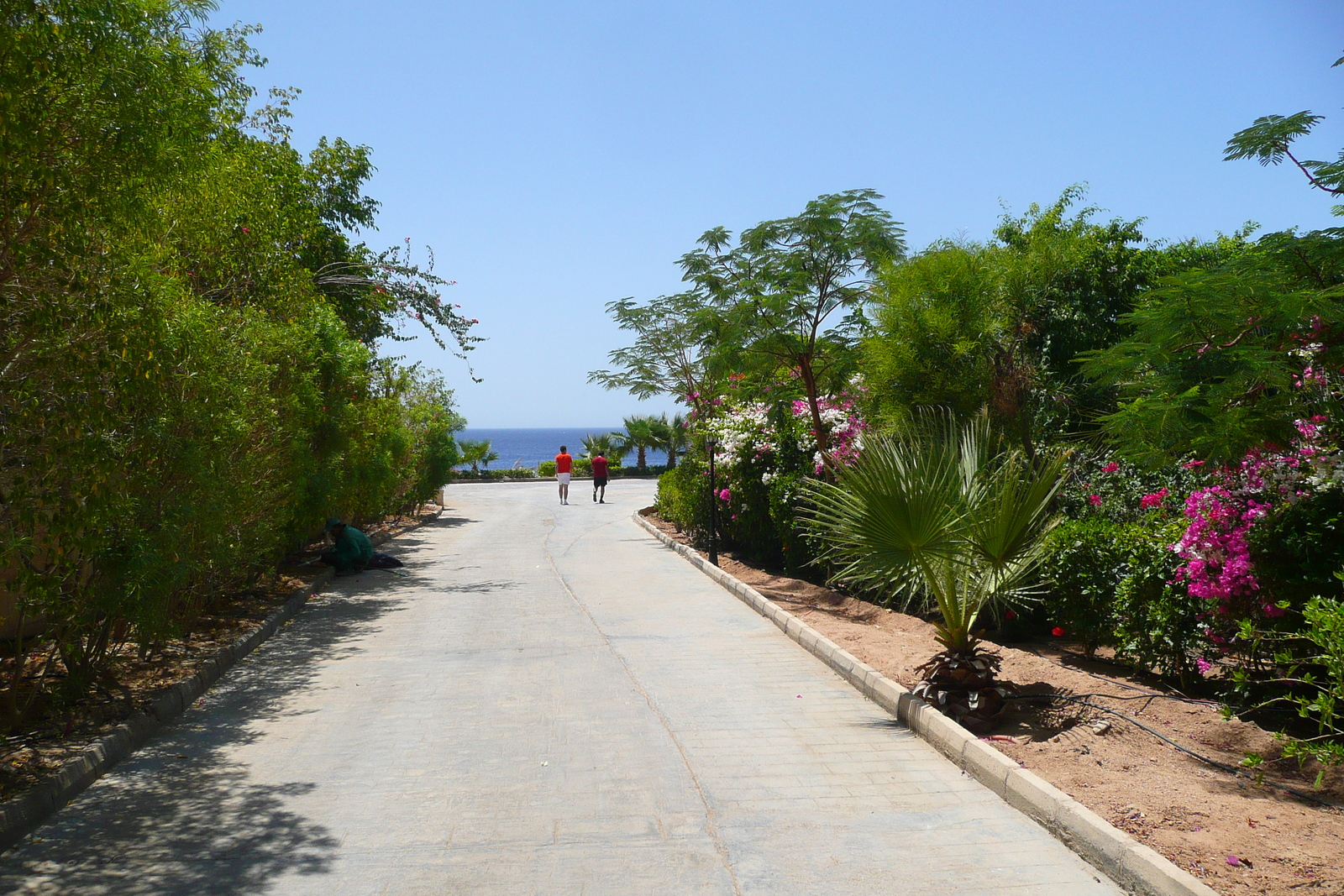 照片 埃及(Egypt) 沙姆沙伊赫(Sharm el Sheikh) 凯悦酒店(Hyatt Hotel) 2008-06 7