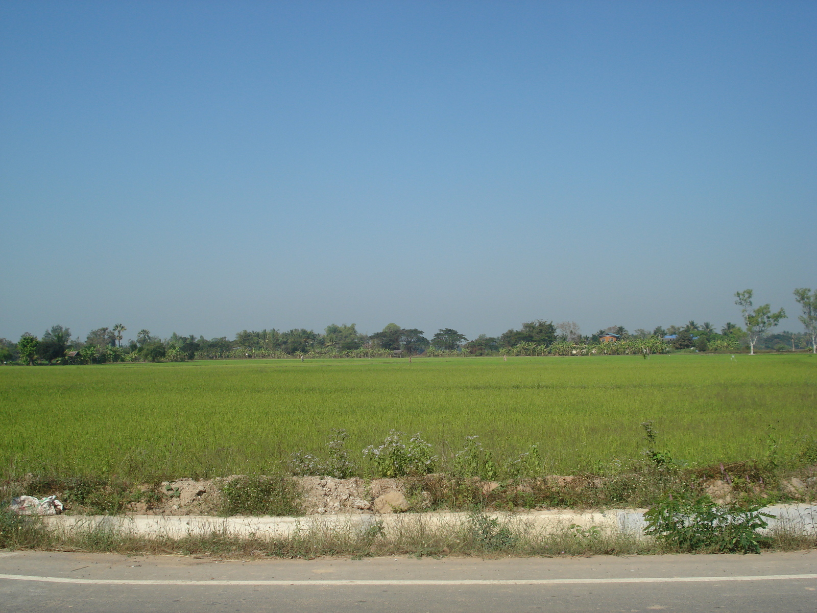 照片 泰国(Thailand) 彭世洛(Phitsanulok) 2008-01 14