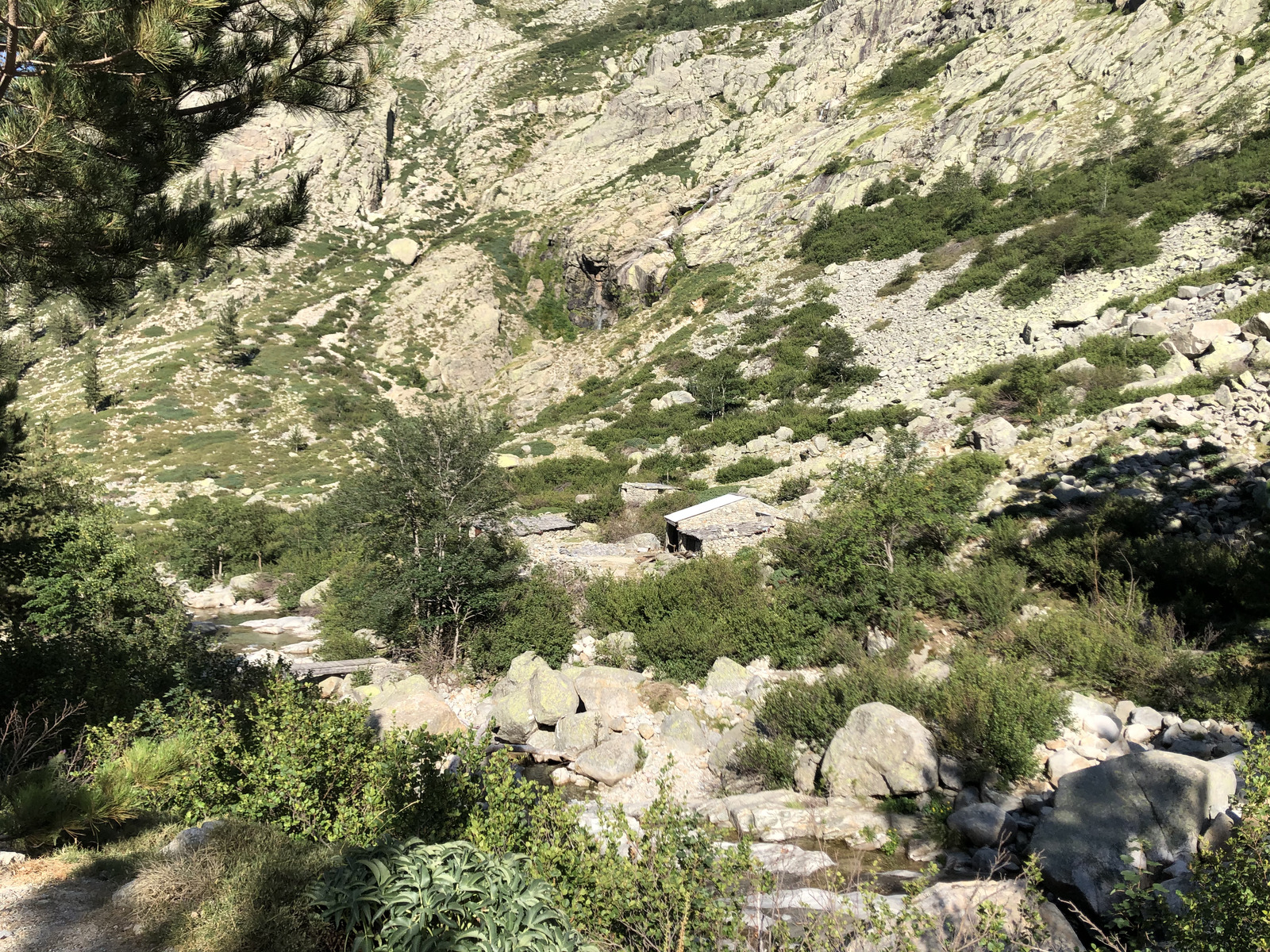 照片 法国(France) 科西嘉岛(Corsica) 雷斯托尼卡山谷(La Restonica) 2020-07 110