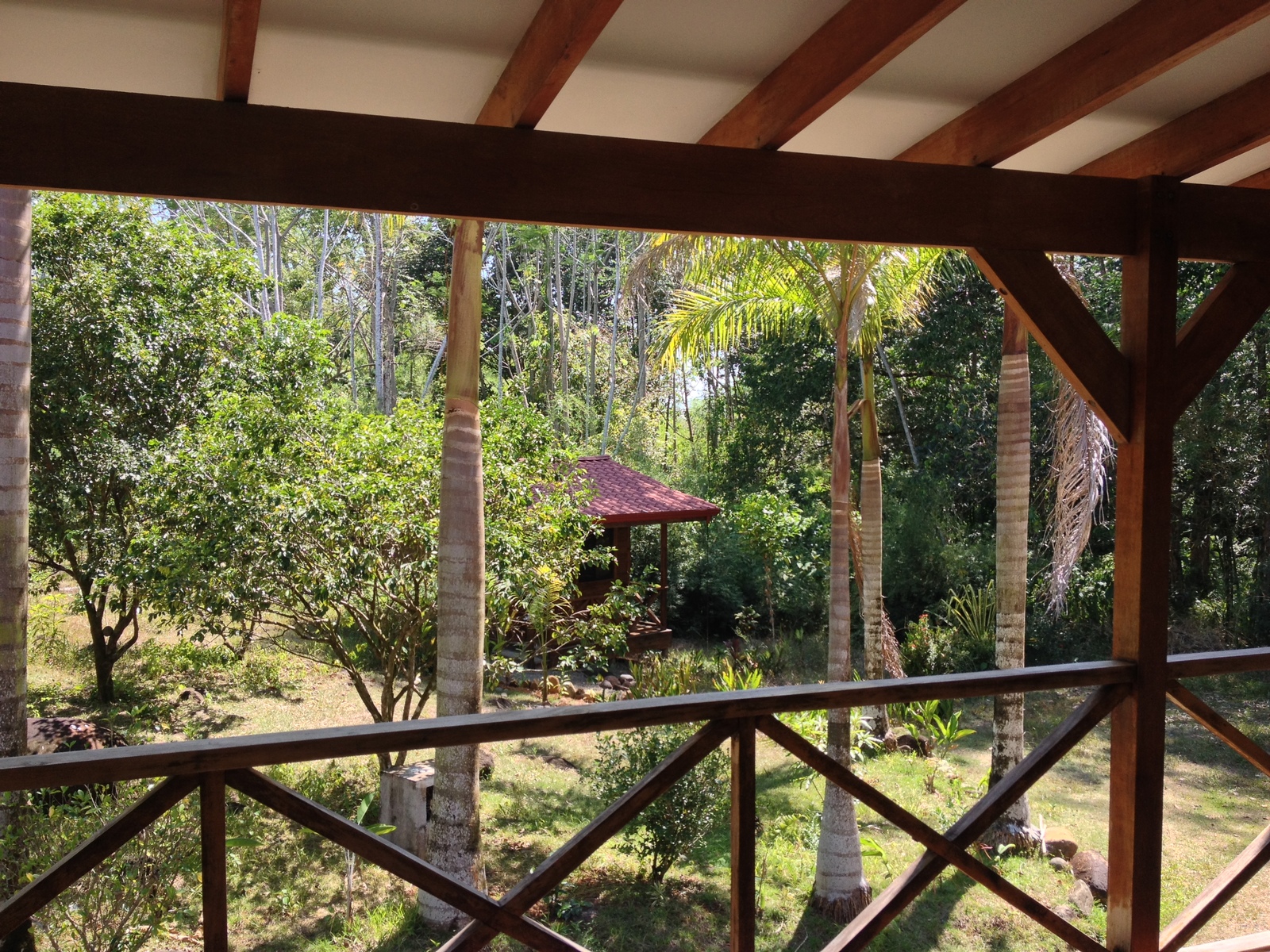 照片 哥斯达黎加(Costa Rica) 乌维塔(Uvita) 2015-03 25