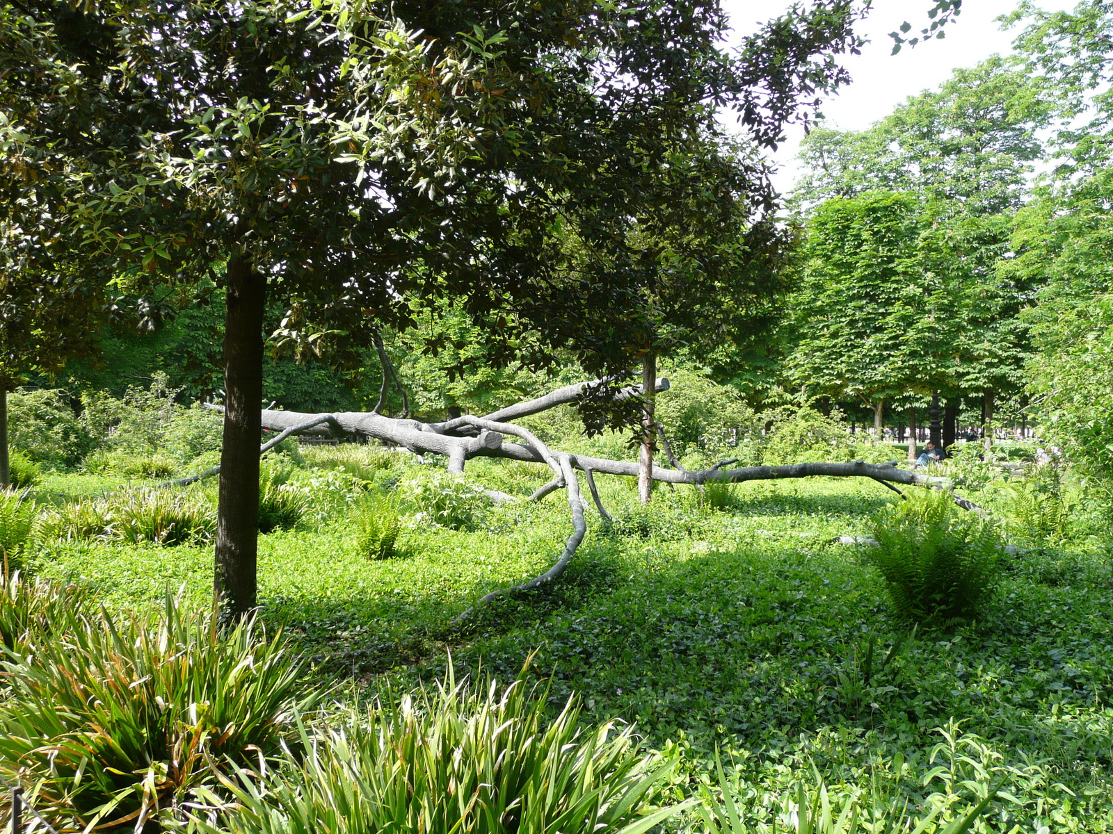 照片 法国(France) 巴黎(Paris) 杜乐丽花园(Garden of Tuileries) 2007-05 204