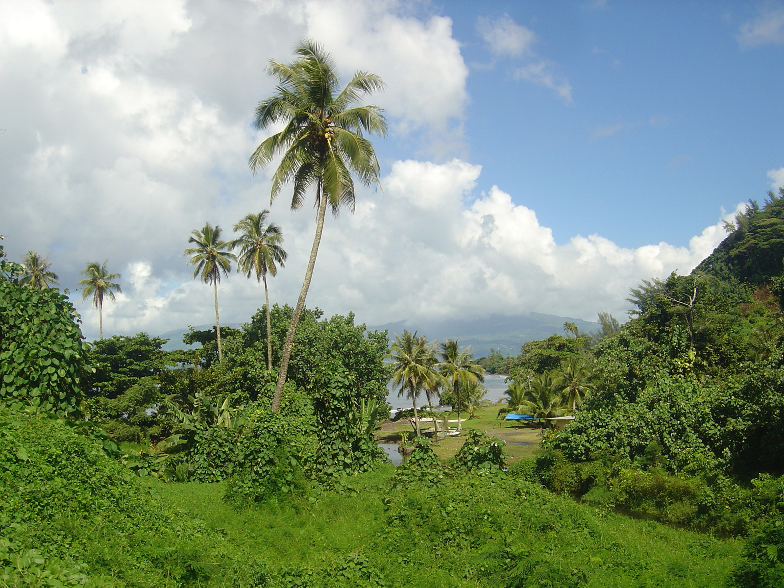 照片 波利尼西亚(Polynesia) 塔希提岛(Tahiti) 2006-04 0