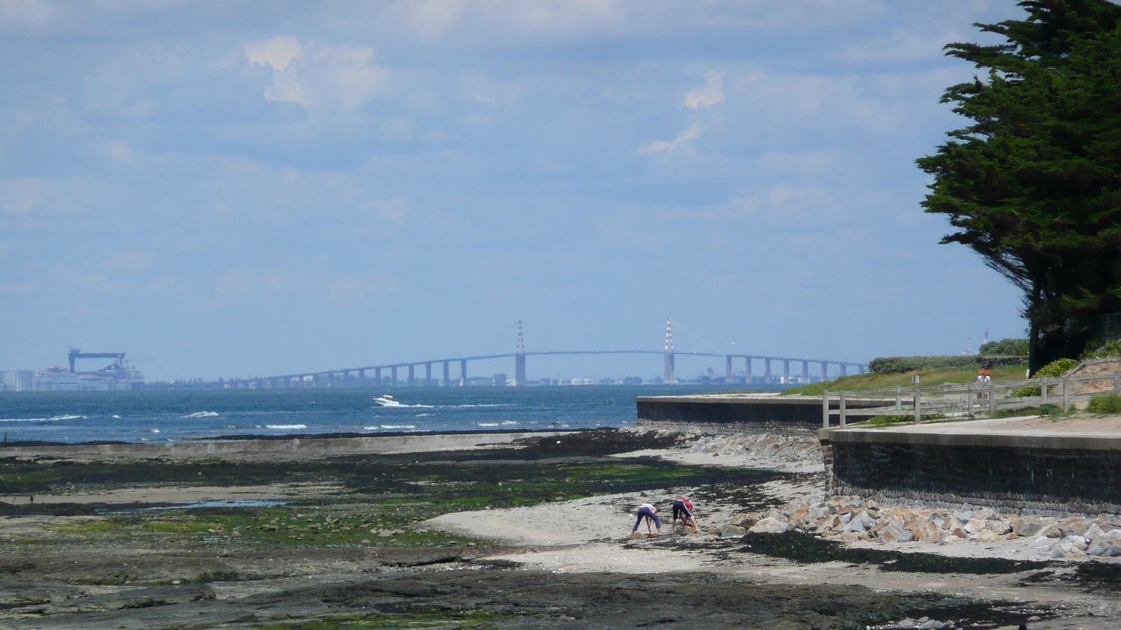 照片 法国(France) 普雷法耶(Prefailles) 圣吉尔达角至拉普雷(La pointe Saint Gildas to La Pree) 2007-08 66