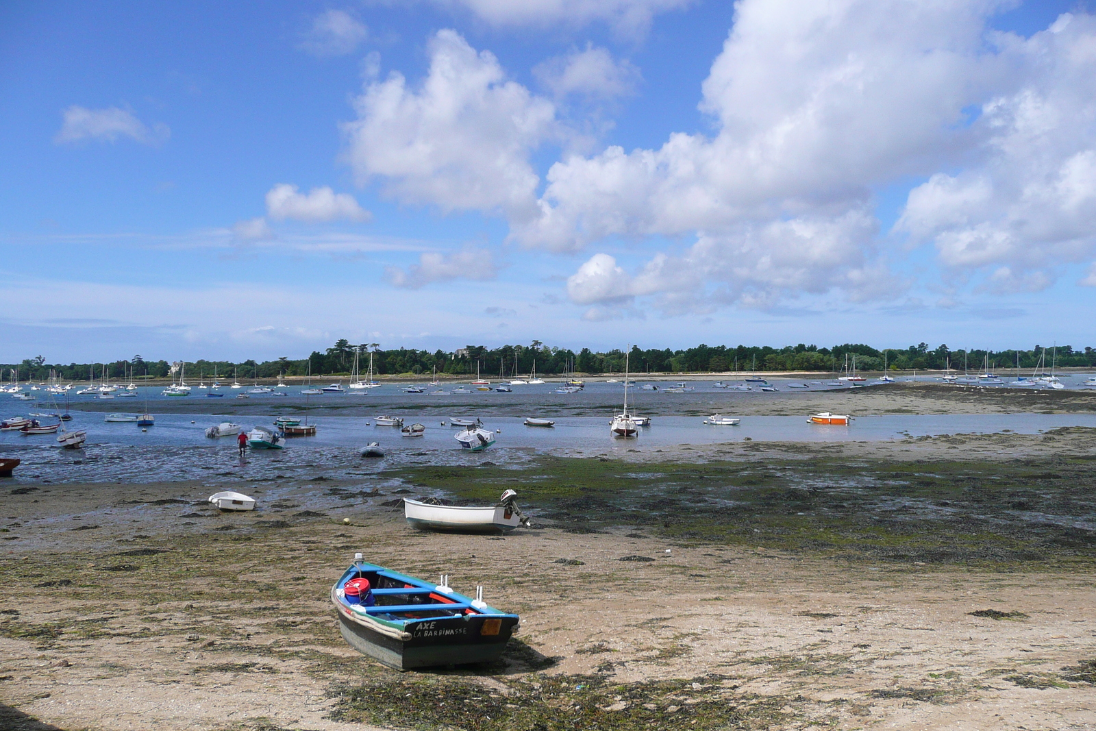 照片 法国(France) 蒂迪岛(Ile Tudy) 2008-07 14