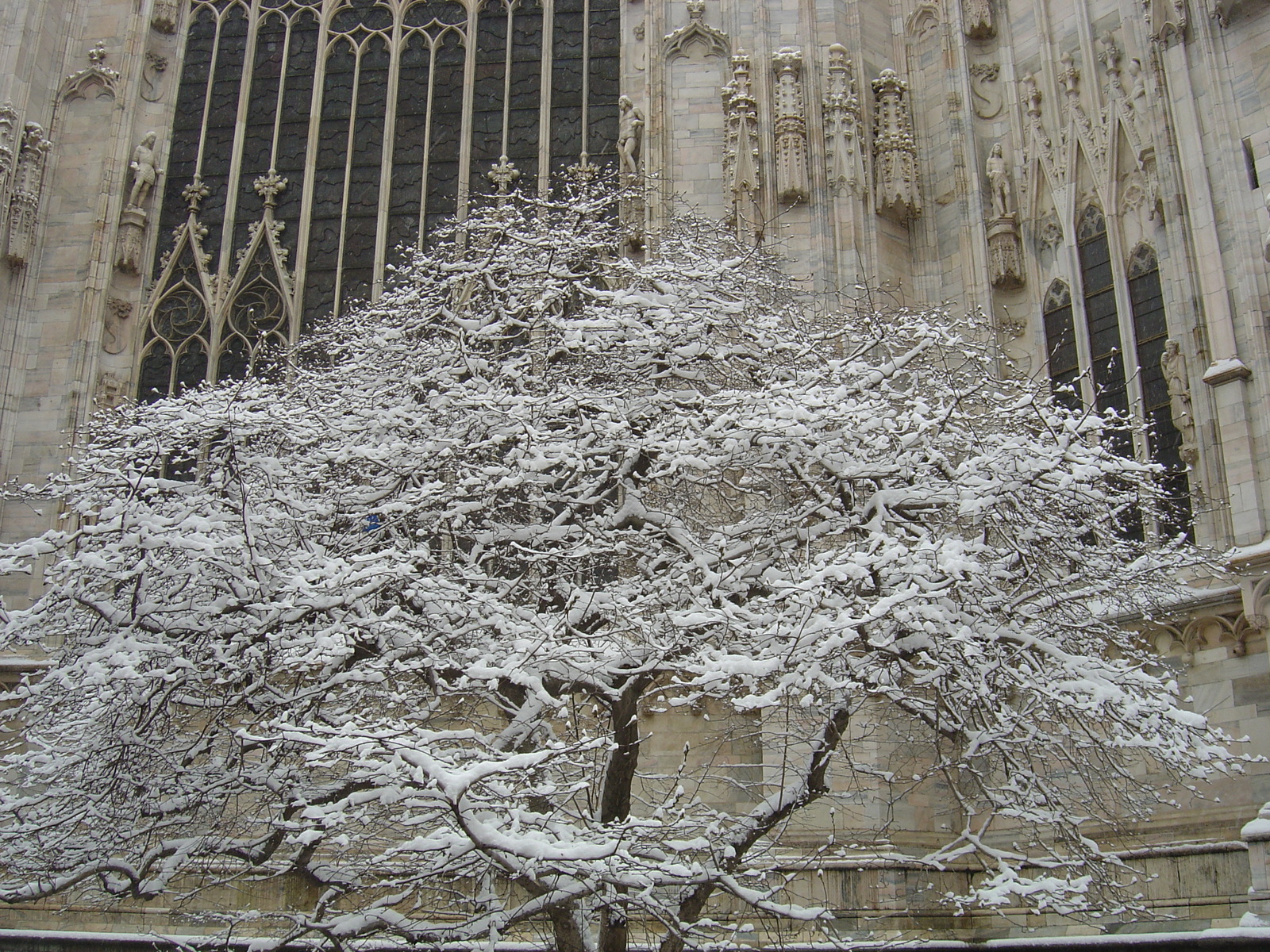 照片 意大利(Italy) 米兰(Milan) 2005-03 23