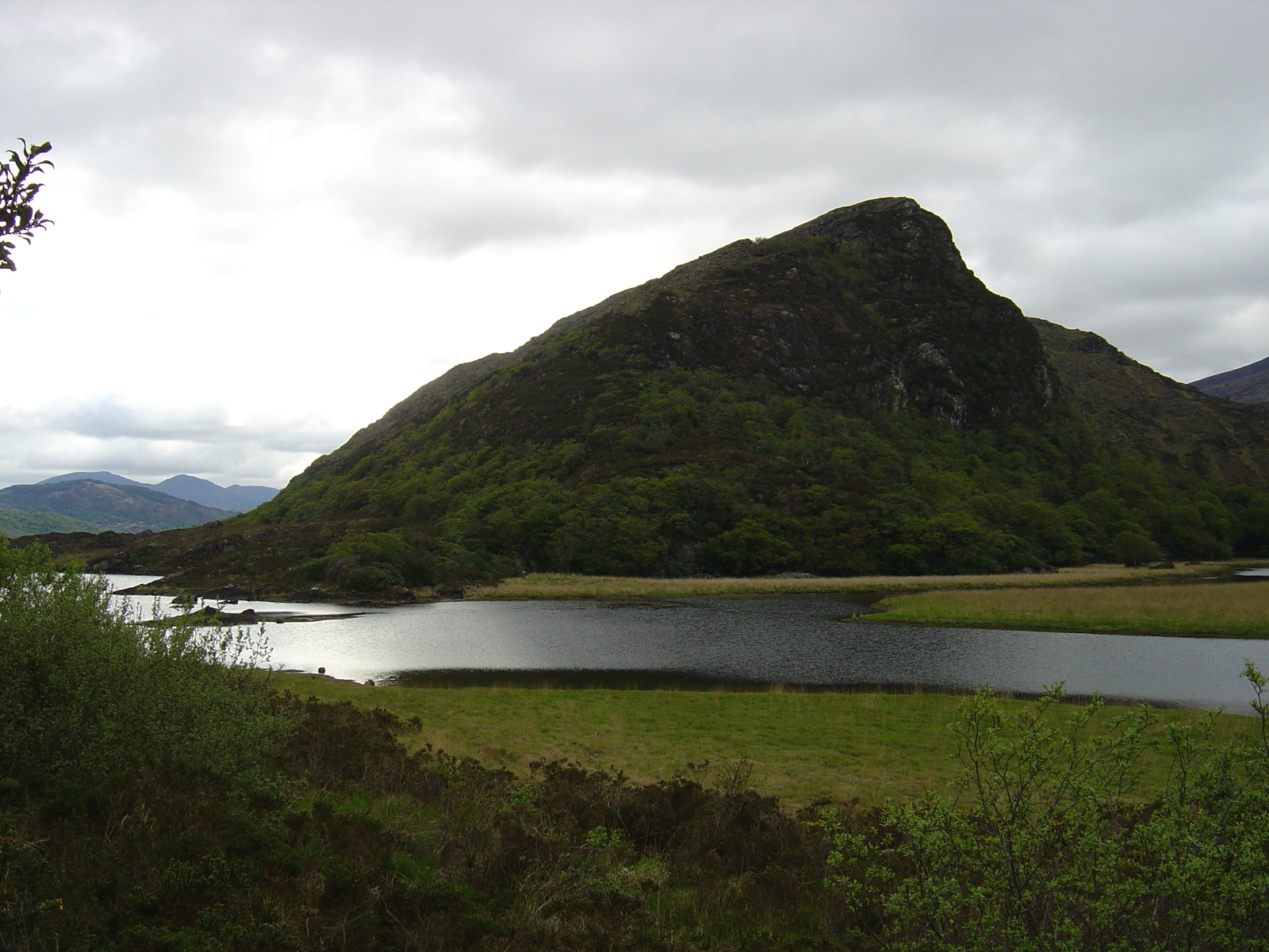 照片 爱尔兰(Ireland) 凯里郡(Kerry) 基拉尼国家公园(Killarney National Park) 2004-05 21