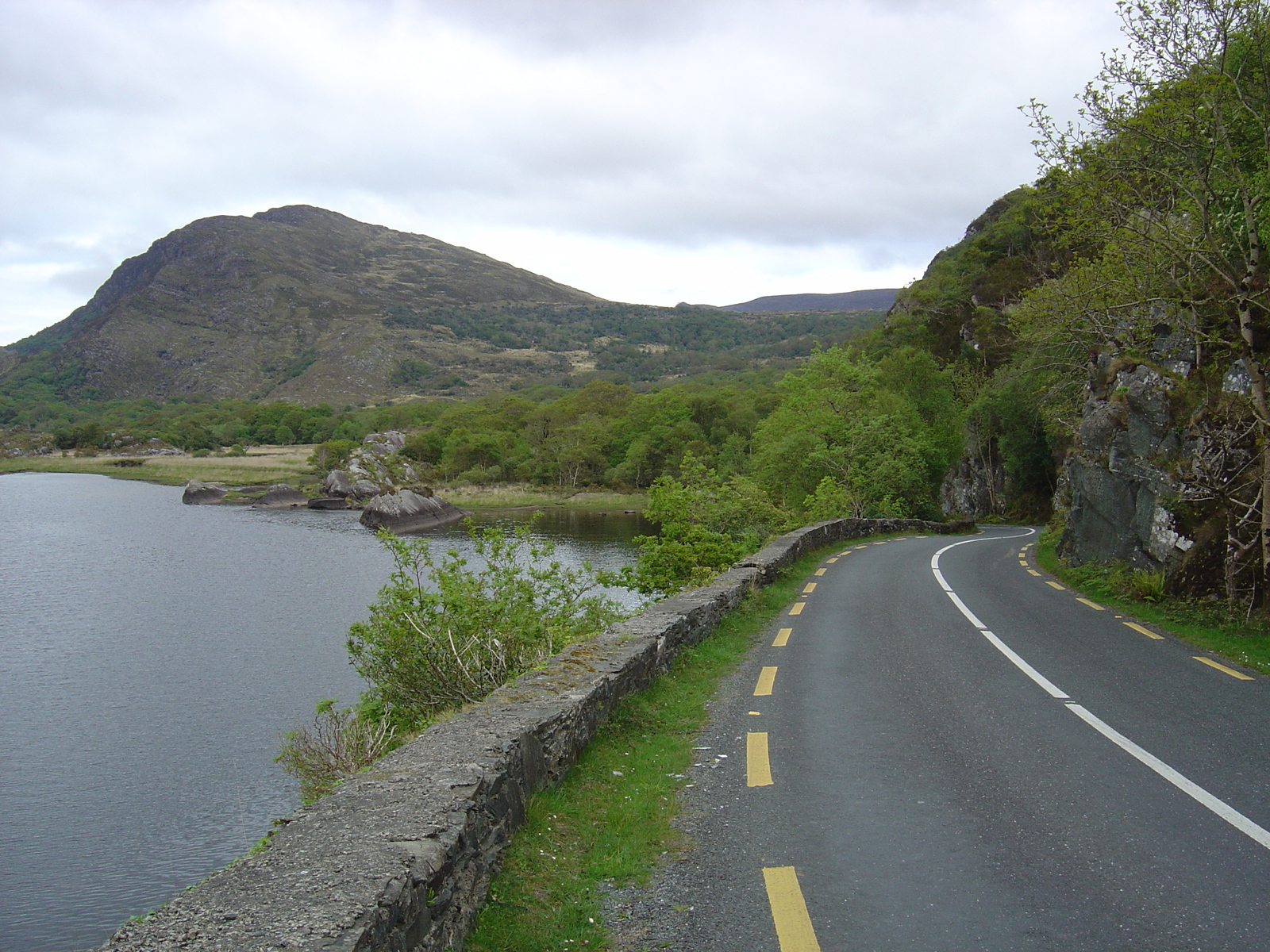 照片 爱尔兰(Ireland) 凯里郡(Kerry) 基拉尼国家公园(Killarney National Park) 2004-05 13