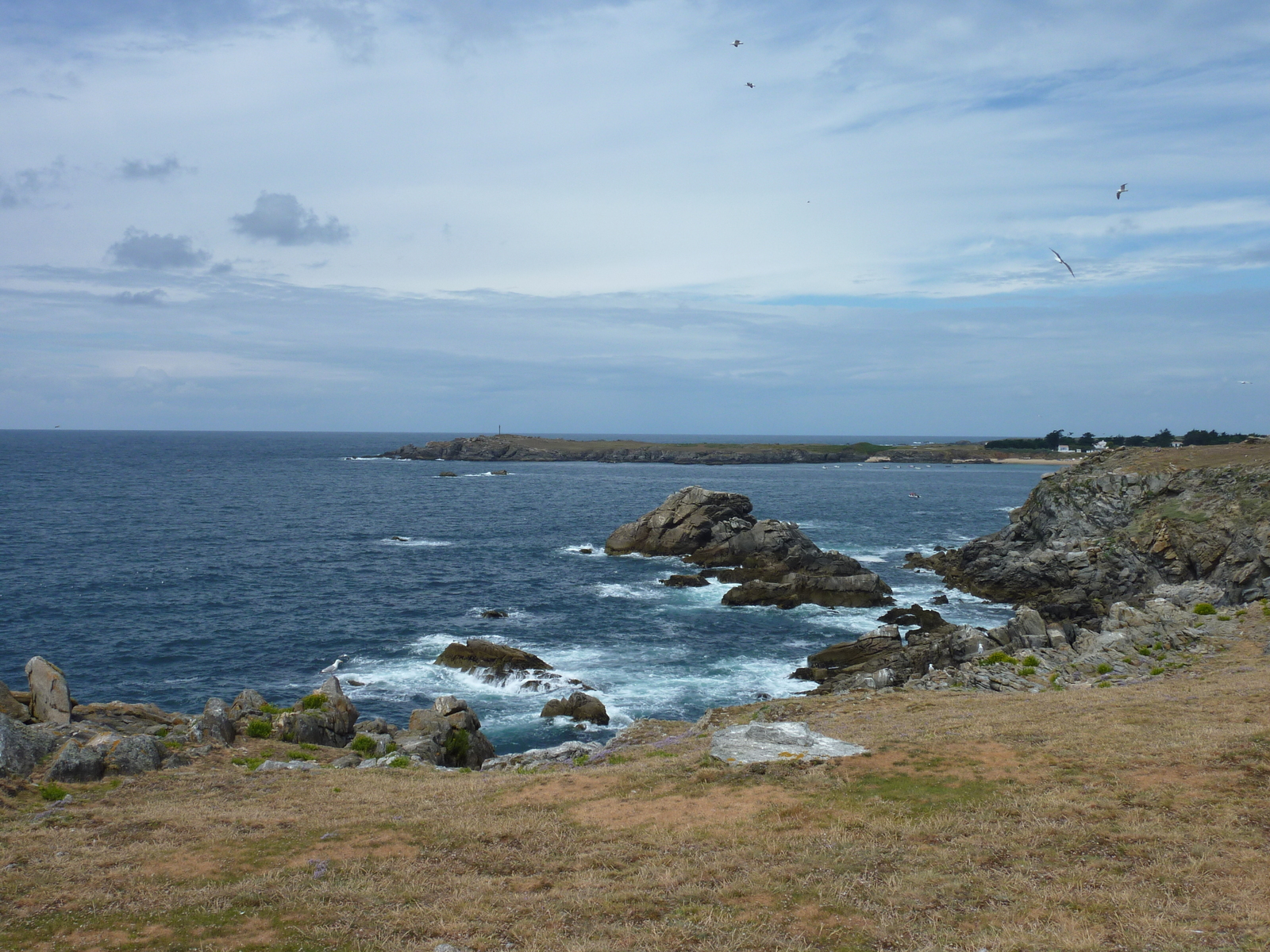 照片 法国(France) 伊厄岛(Ile d'yeu) 2009-07 39