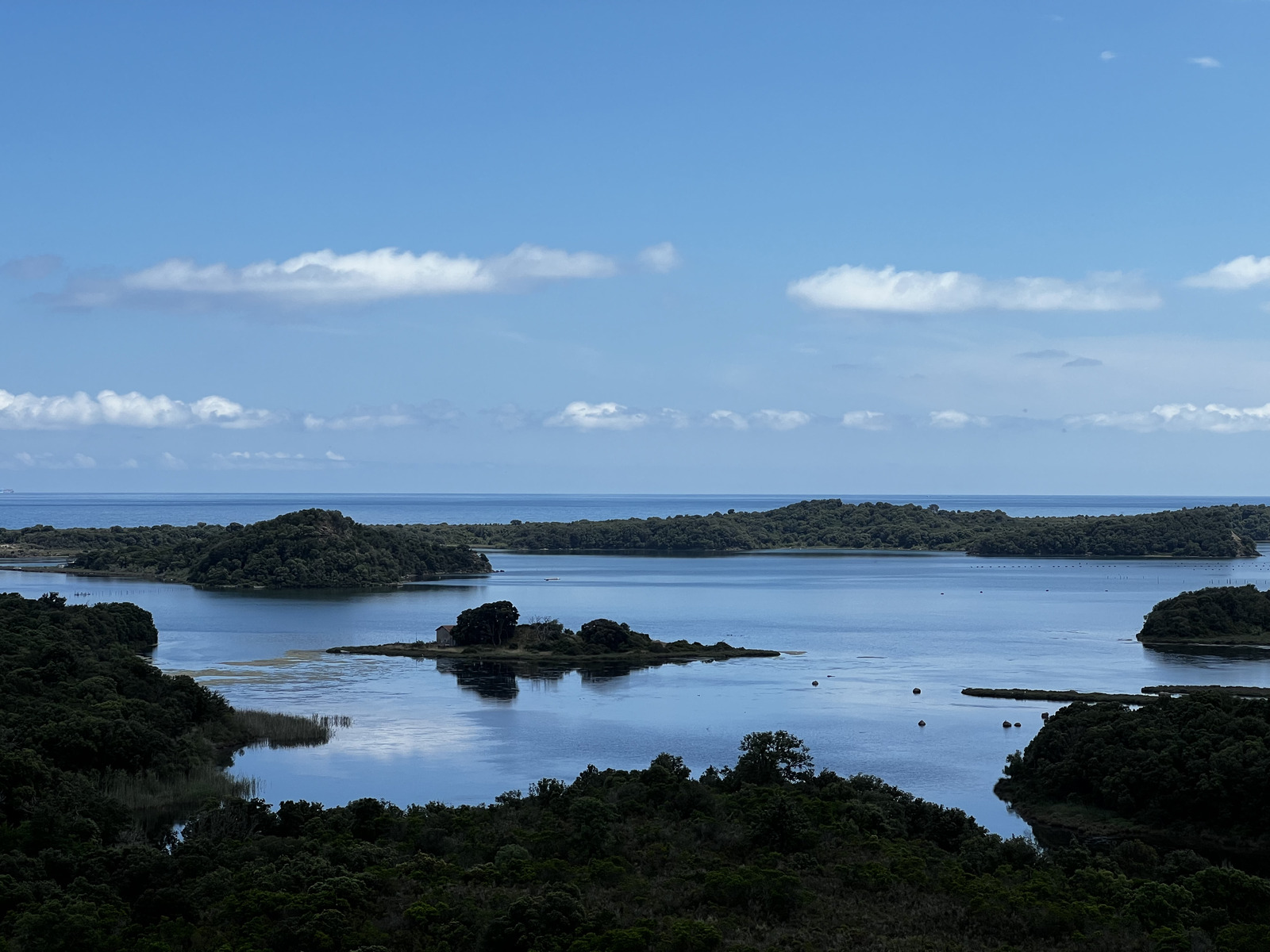 照片 法国(France) 科西嘉岛(Corsica) 迪亚娜潟湖(Etang de Diane) 2023-06 1