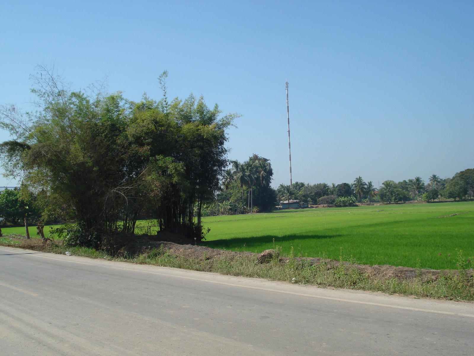 照片 泰国(Thailand) 彭世洛(Phitsanulok) 2008-01 15