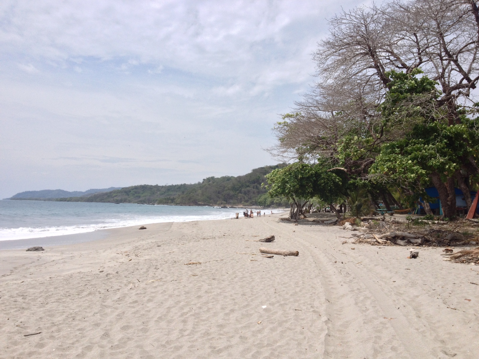 照片 哥斯达黎加(Costa Rica) 蒙特苏马(Montezuma) 2015-03 44