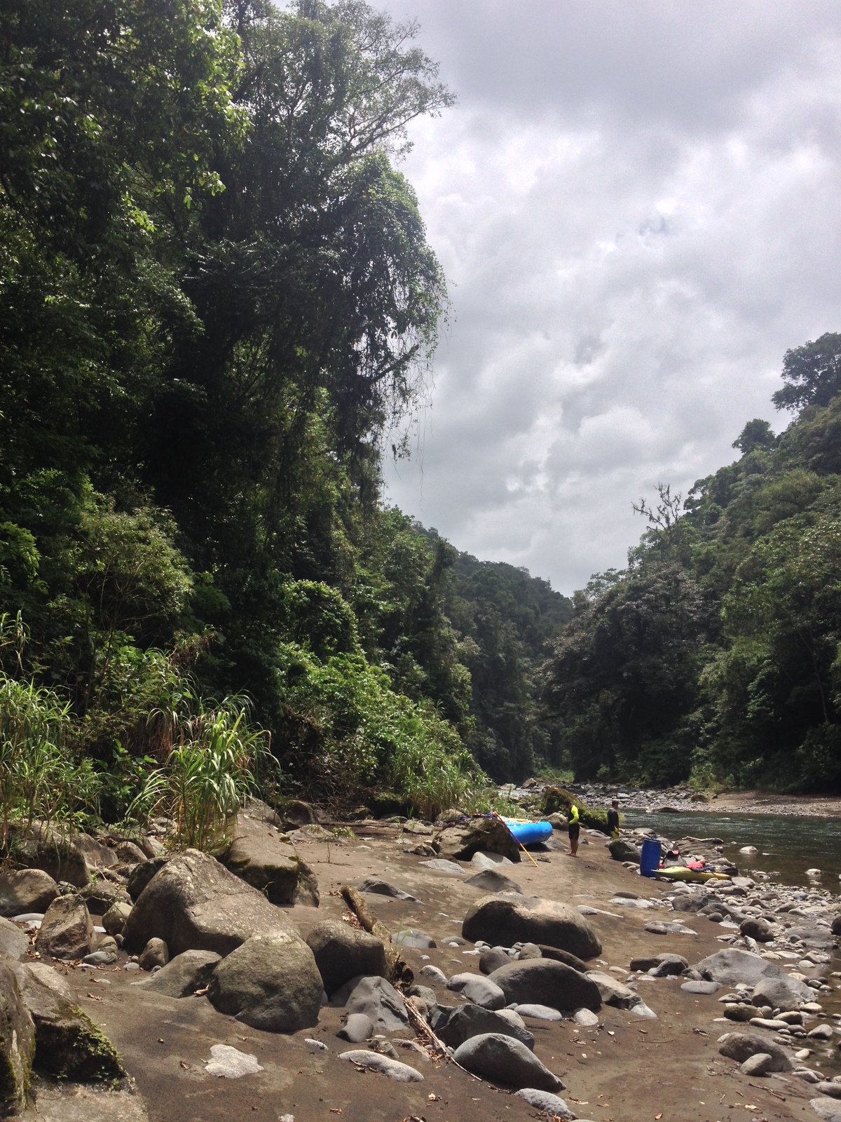 照片 哥斯达黎加(Costa Rica) 帕夸雷河(Pacuare River) 2015-03 177