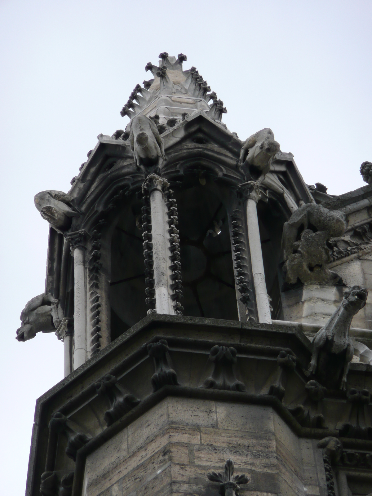 照片 法国(France) 巴黎(Paris) 巴黎圣母院(Notre Dame) 2007-05 130