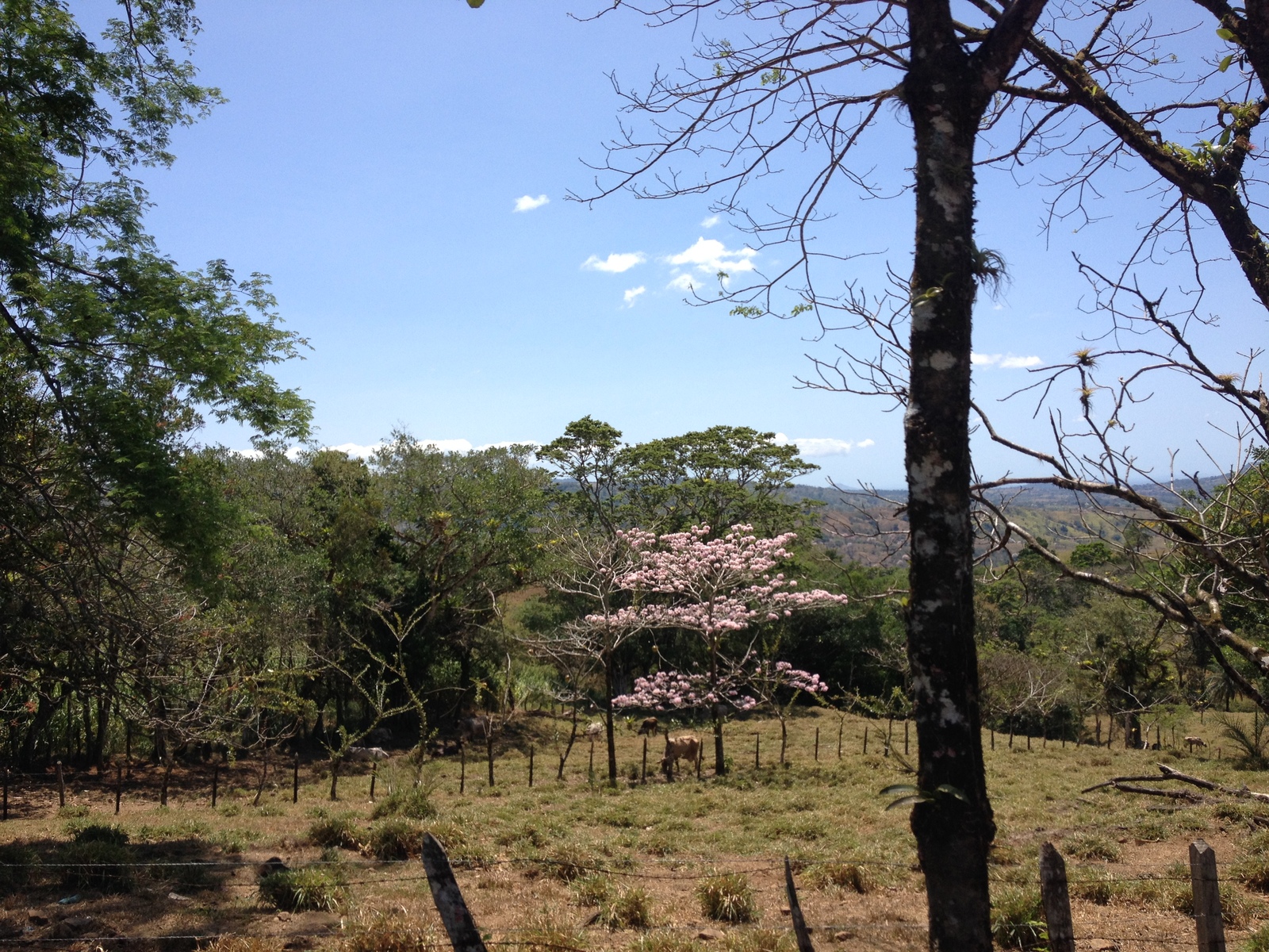 照片 巴拿马(Panama) 戴维至博卡斯德尔托罗(David to Bocas del toro) 2015-03 121