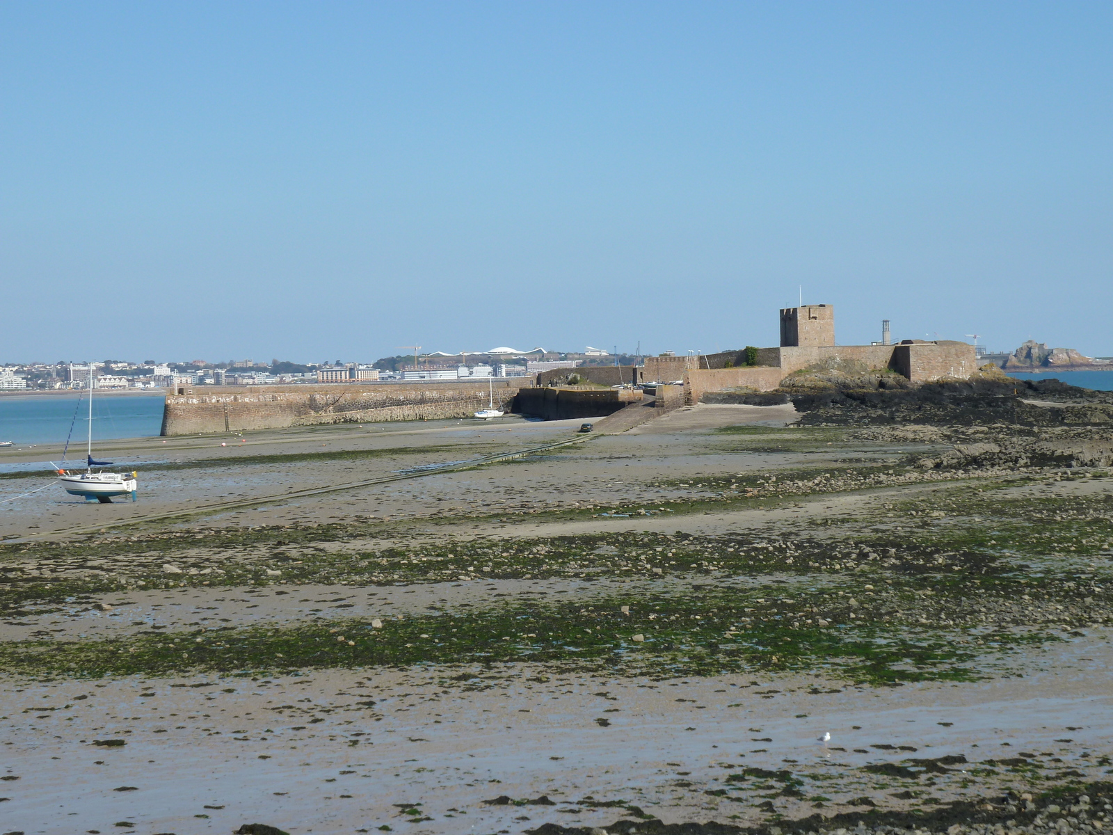 照片 泽西岛(Jersey) 2010-04 29