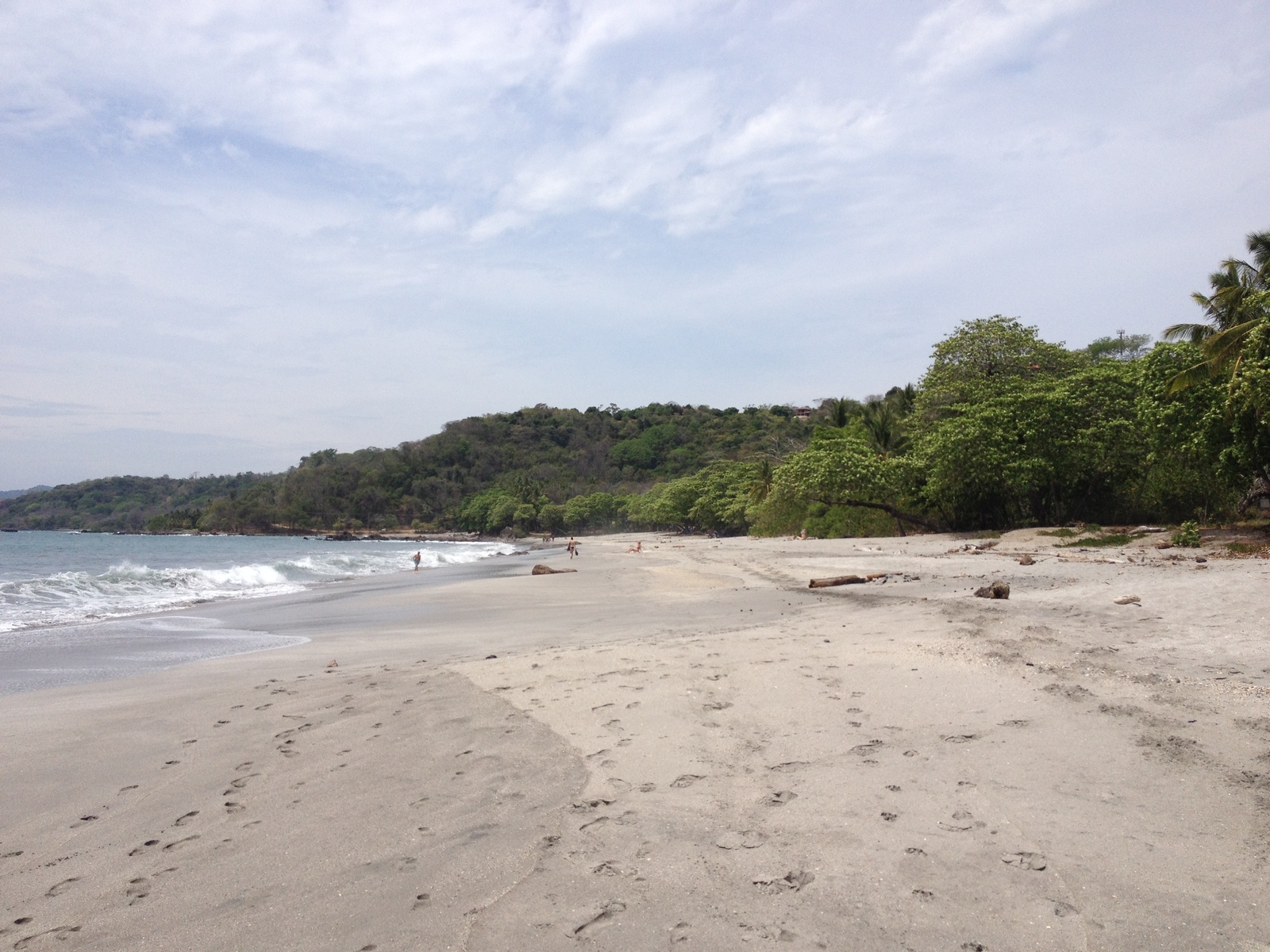 照片 哥斯达黎加(Costa Rica) 蒙特苏马(Montezuma) 2015-03 543