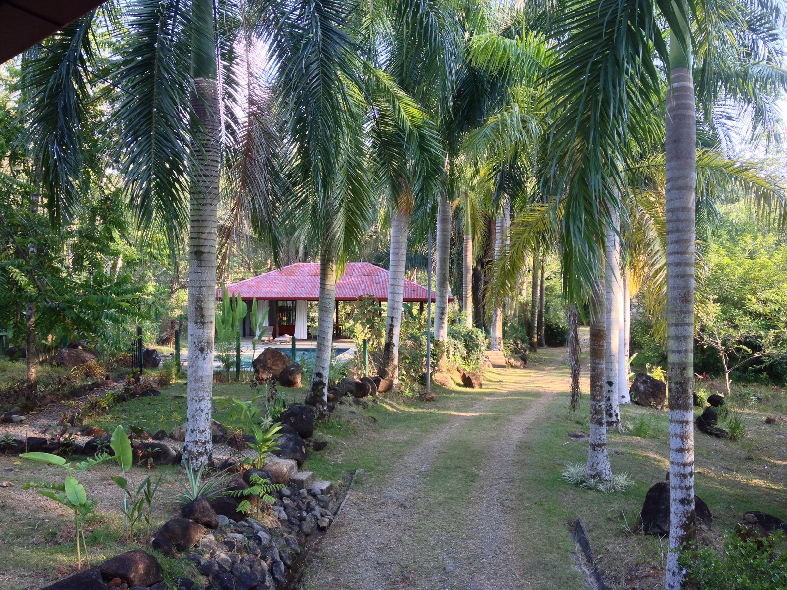 照片 哥斯达黎加(Costa Rica) 乌维塔(Uvita) 2015-03 52