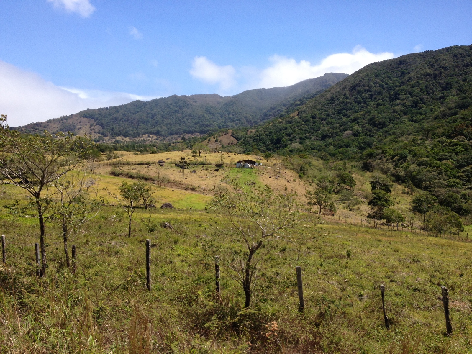 照片 巴拿马(Panama) 戴维至博卡斯德尔托罗(David to Bocas del toro) 2015-03 106
