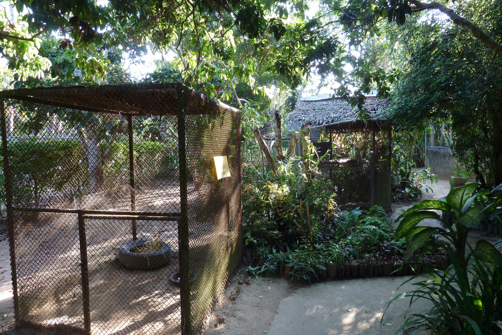 照片 泰国(Thailand) 清迈(Chiang Mai) 湄沙蛇园(Mae Sa Snake Farm) 2010-12 54