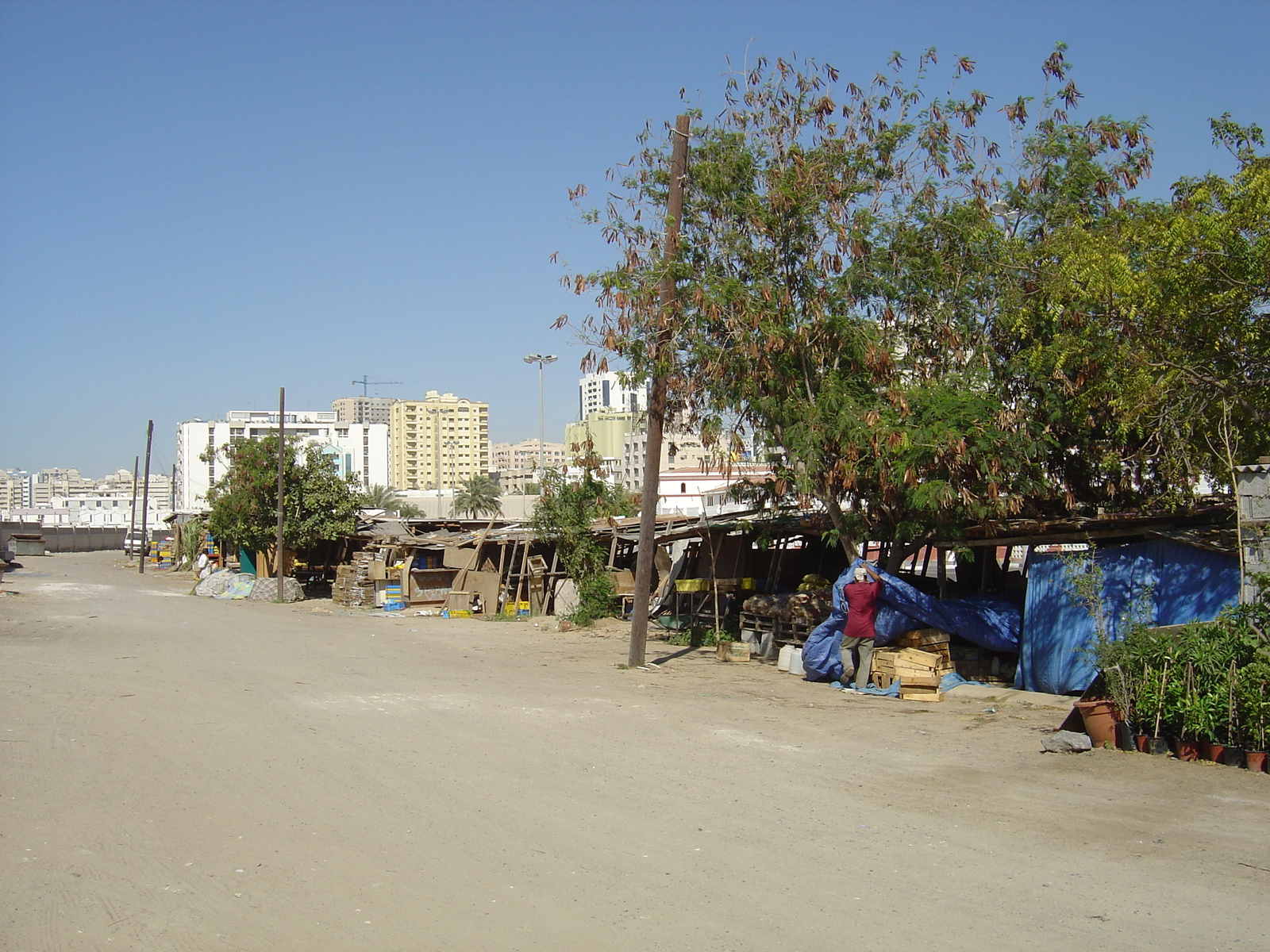 照片 阿联酋(United Arab Emirates) 沙迦(Sharjah) 2005-03 22