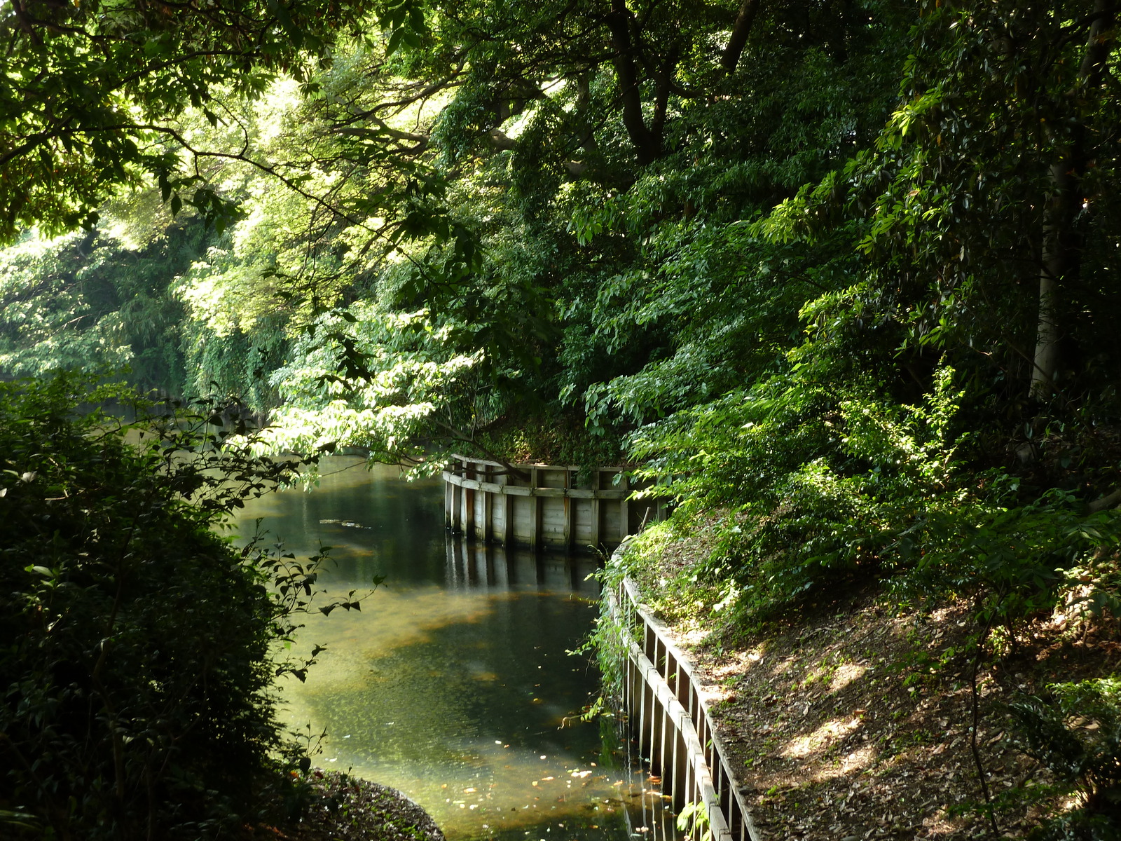 照片 日本(Japan) 东京(Tokyo) 滨离宫恩赐庭园(Hama rikyu Gardens) 2010-06 64