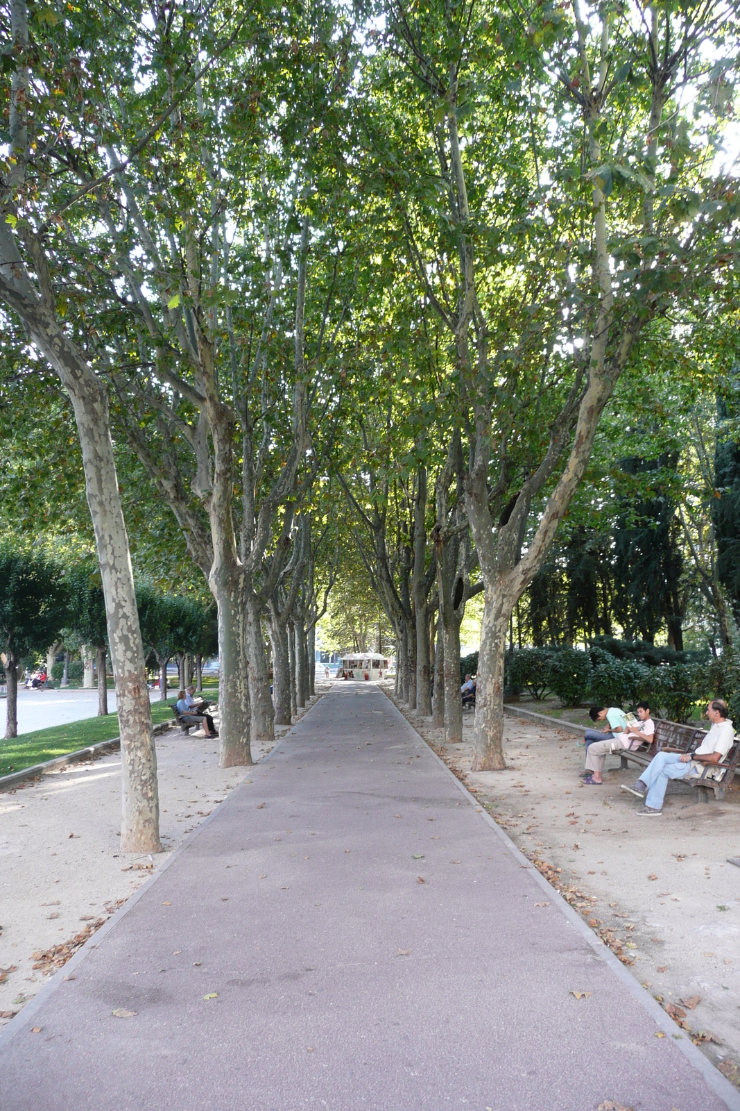 照片 西班牙(Spain) 马德里(Madrid) 西班牙广场(Plaza de Espana) 2007-09 6
