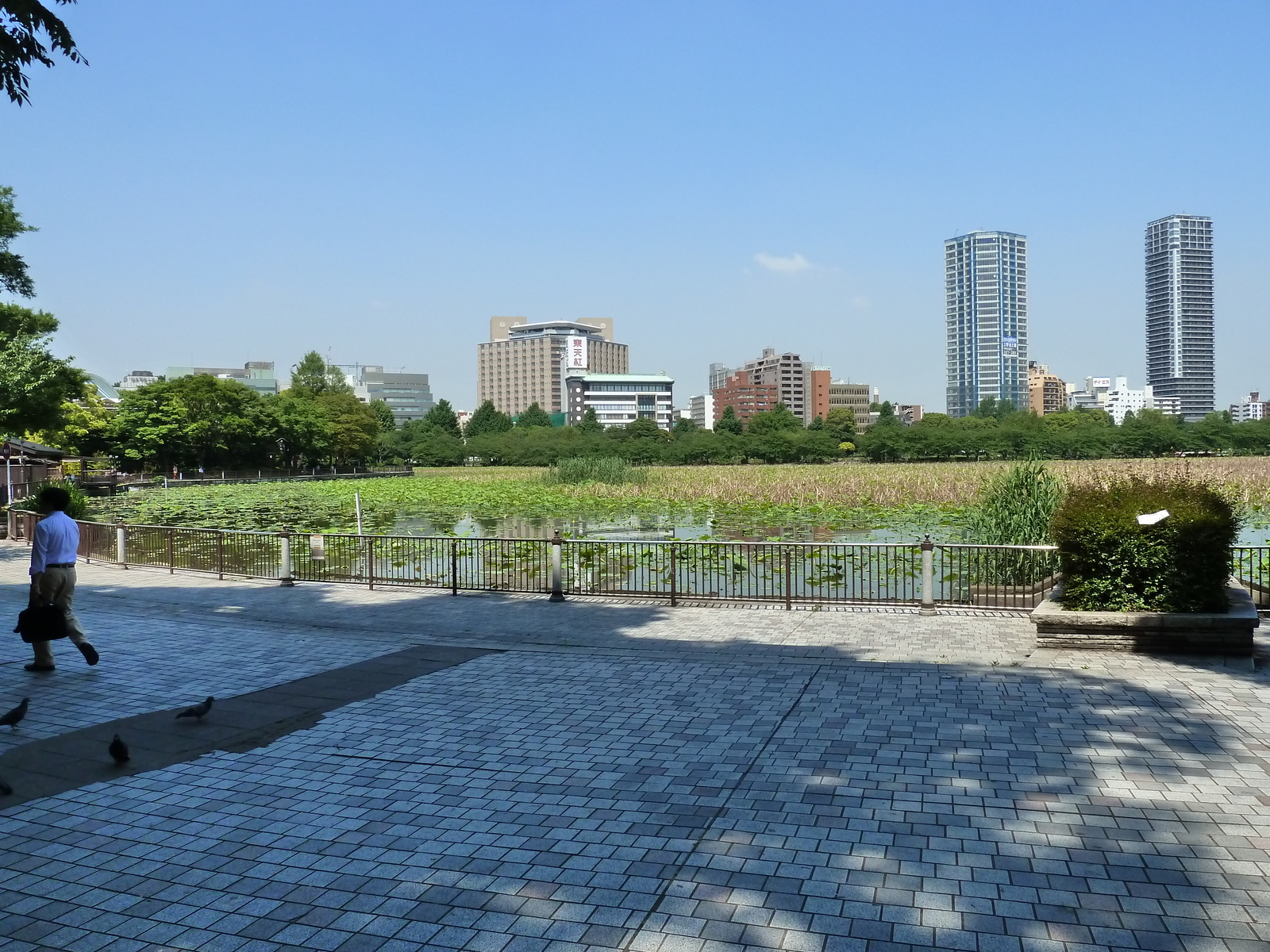 照片 日本(Japan) 东京(Tokyo) 上野(Ueno) 2010-06 50