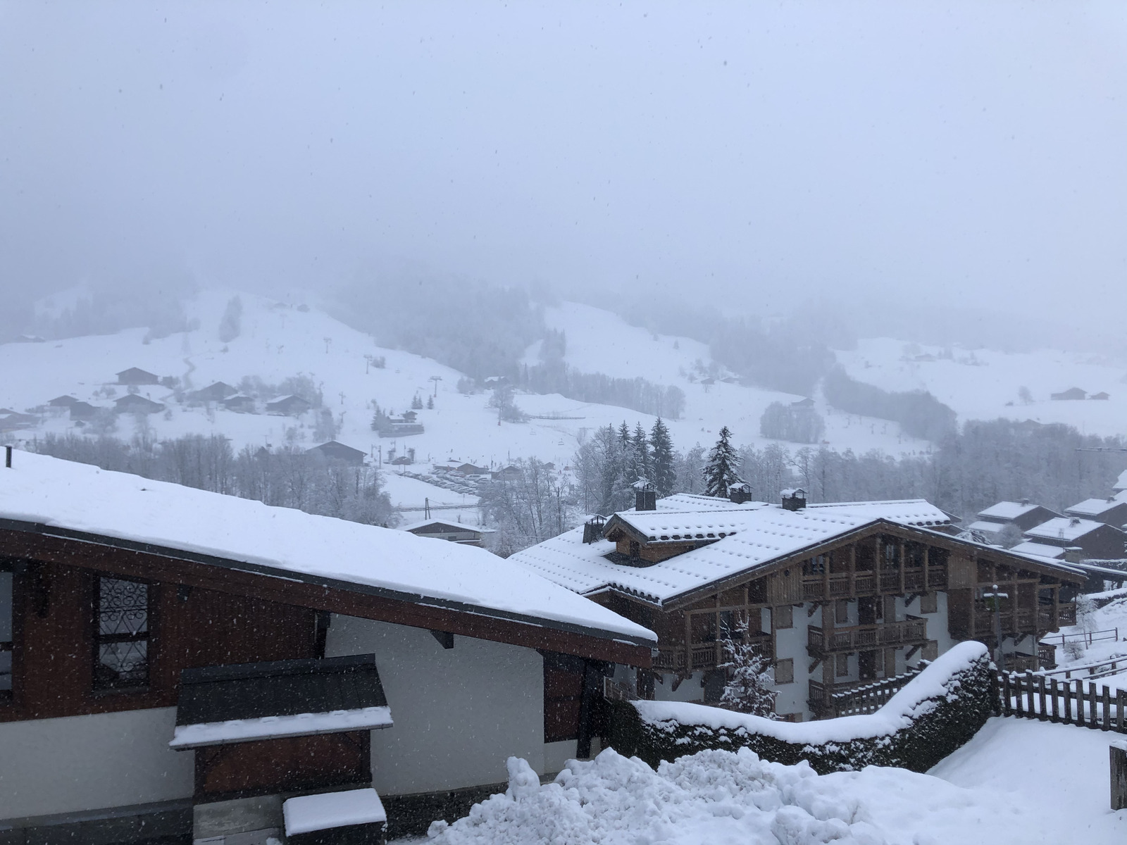 照片 法国(France) 阿尔利河畔普拉(Praz sur Arly) 2019-12 276