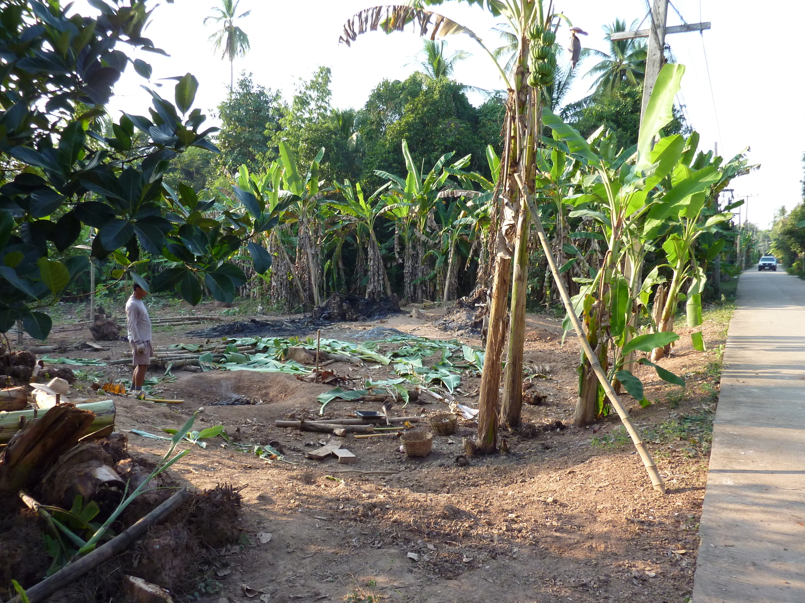 照片 泰国(Thailand) 彭世洛(Phitsanulok) 宗通(Chom Thong) 2009-12 37