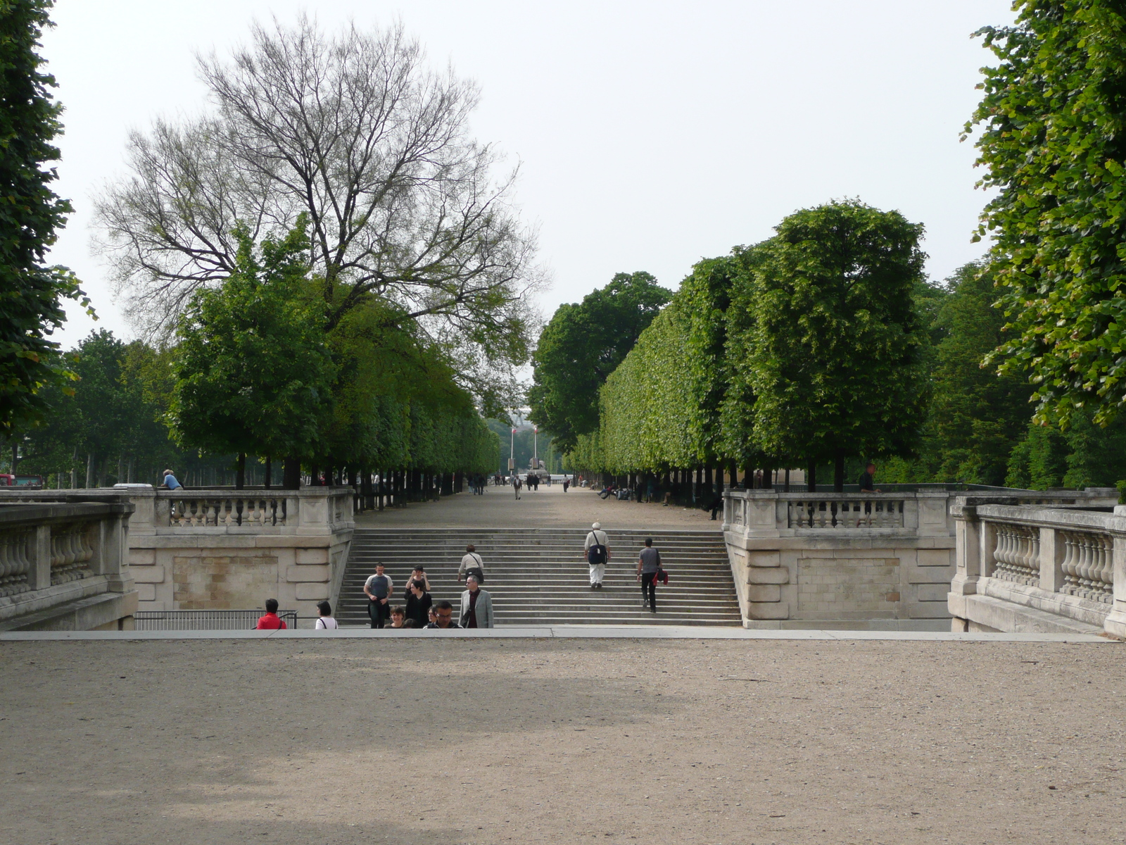 照片 法国(France) 巴黎(Paris) 杜乐丽花园(Garden of Tuileries) 2007-05 211
