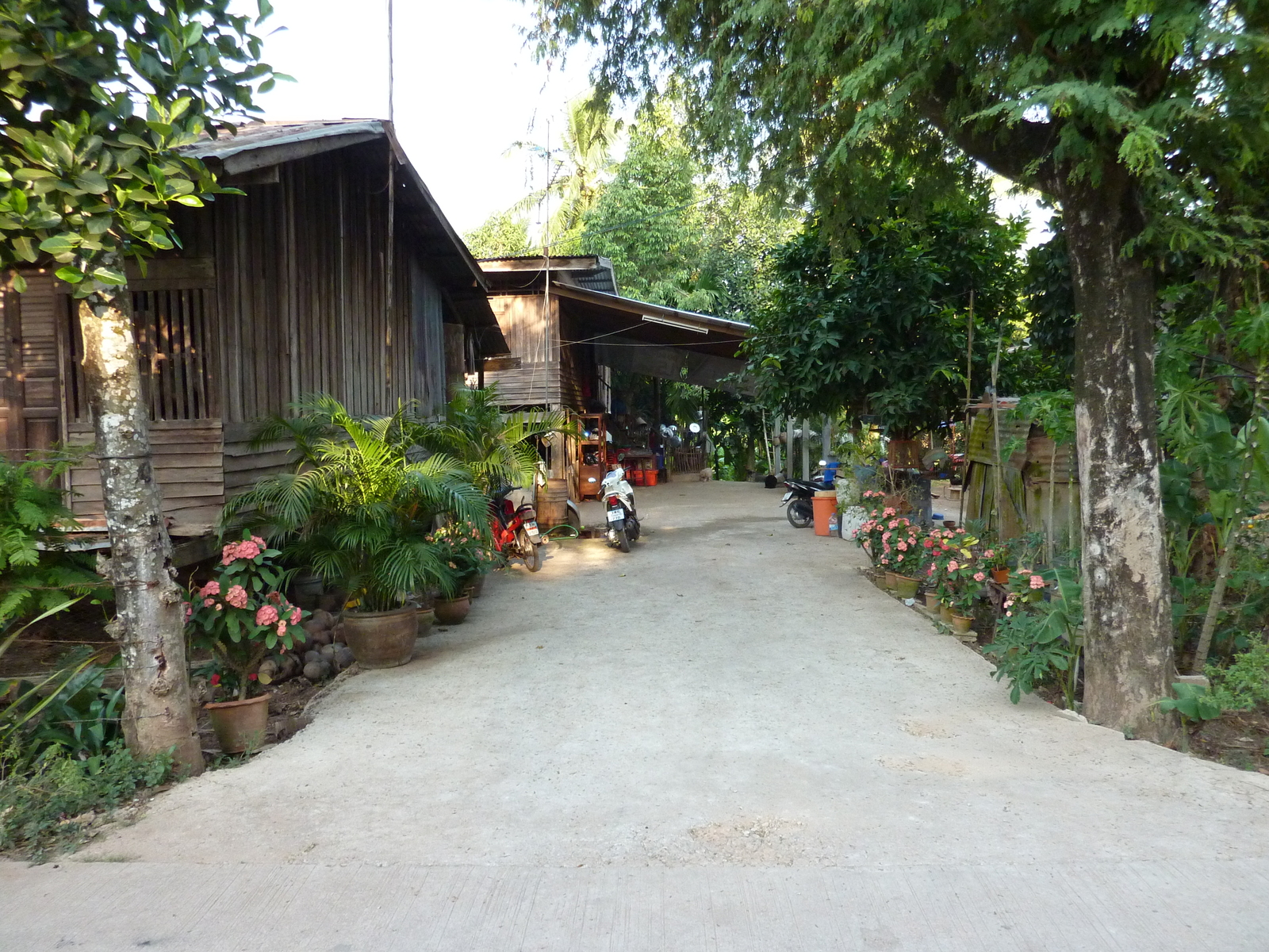照片 泰国(Thailand) 彭世洛(Phitsanulok) 宗通(Chom Thong) 2009-12 8