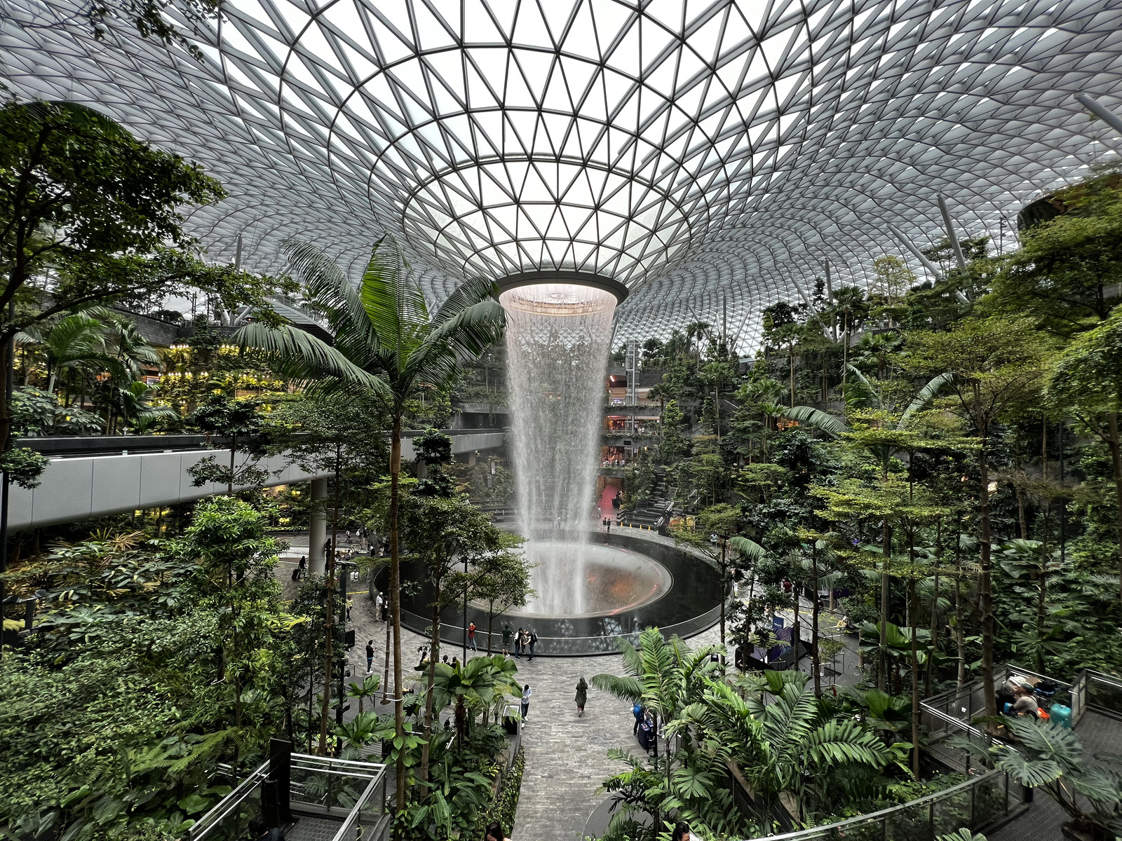 照片 新加坡(Singapore) 新加坡樟宜机场(Singapore Changi Airport) 2023-01 14