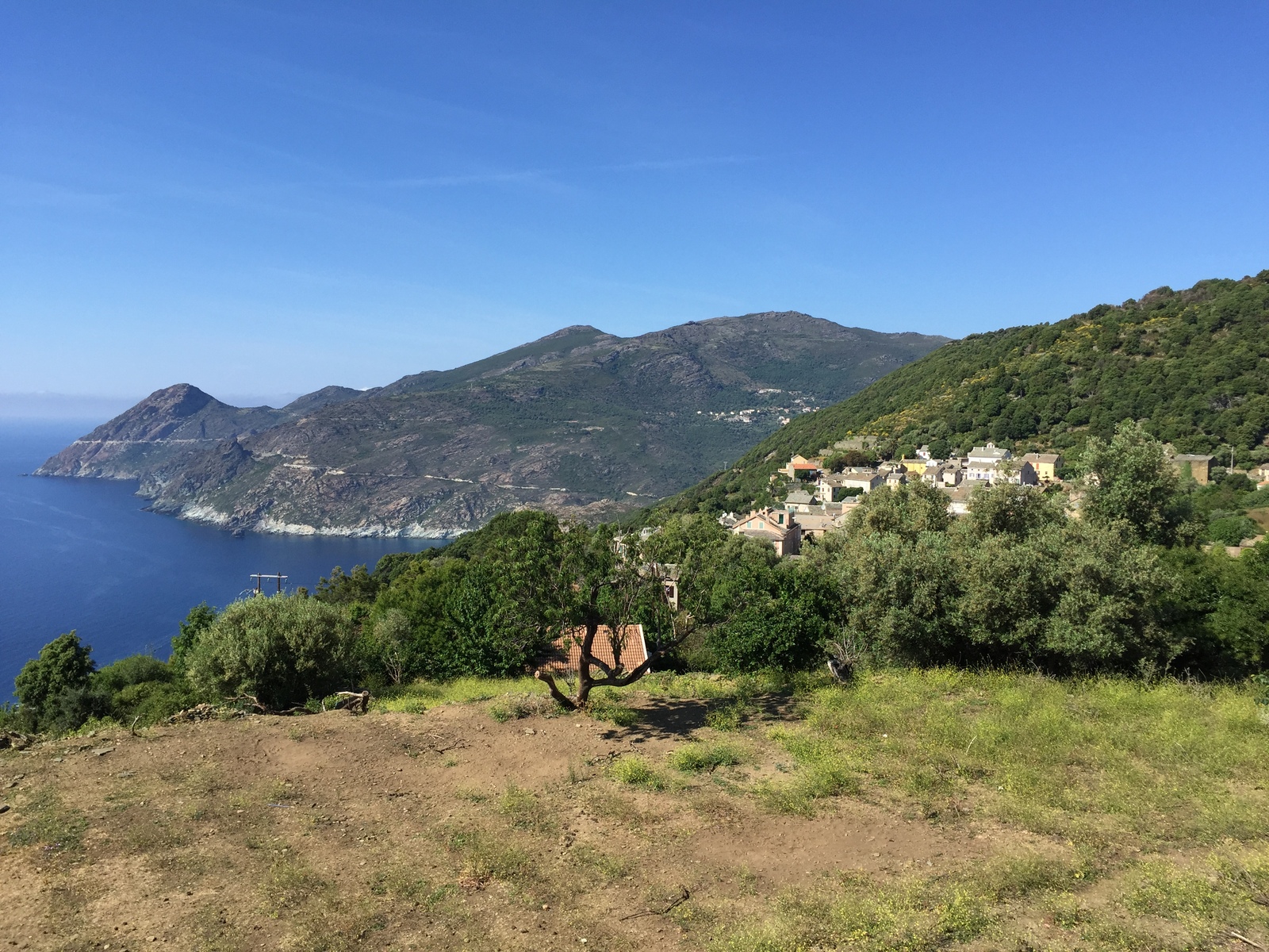 照片 法国(France) 科西嘉岛(Corsica) 科西嘉角(Corsican Cape) 2015-05 8