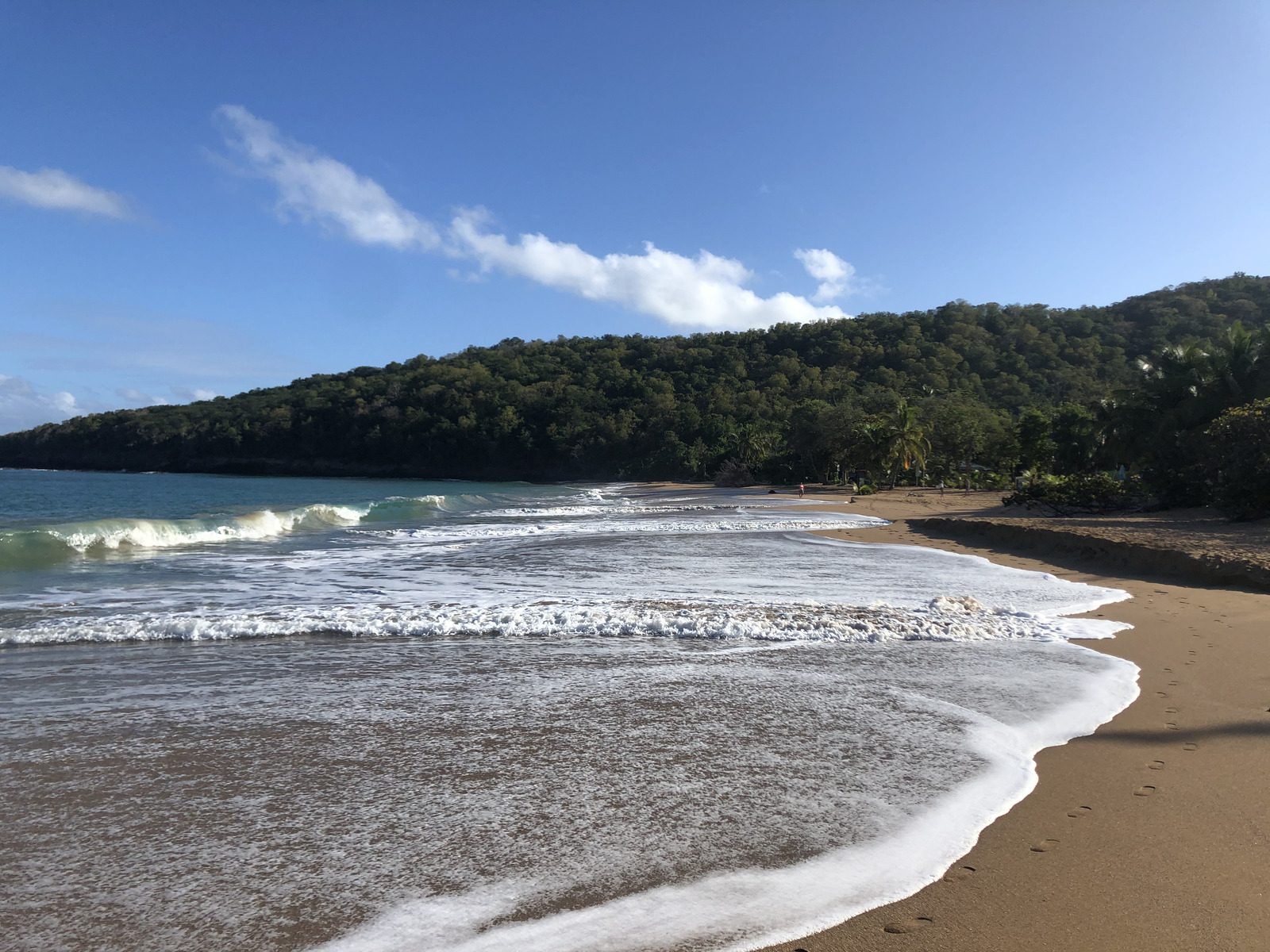 照片 瓜德罗普(Guadeloupe) 珍珠海滩(La Perle Beach) 2021-02 103