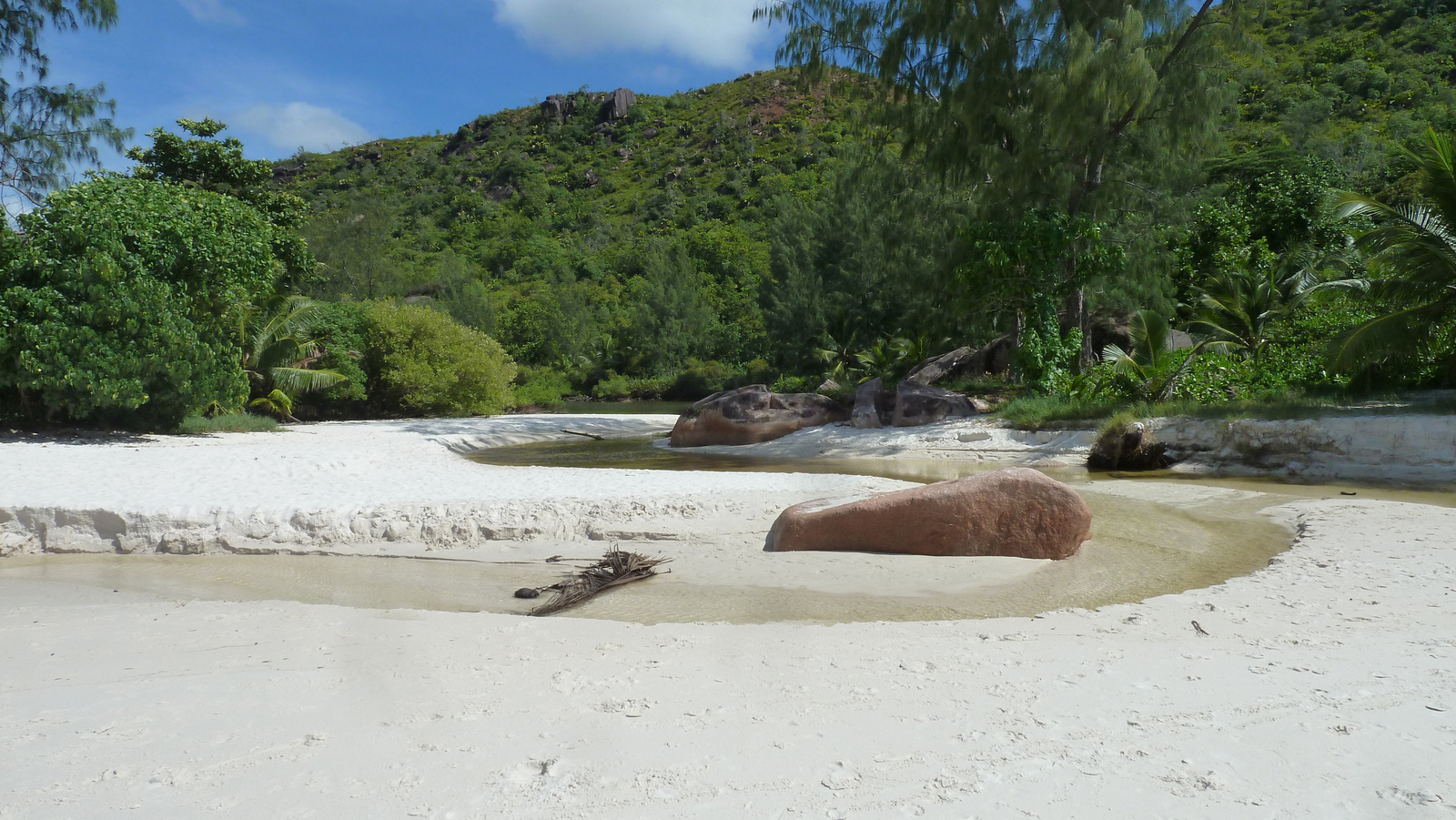 照片 塞舌尔(Seychelles) 拉齐奥湾(Anse Lazio) 2011-10 64